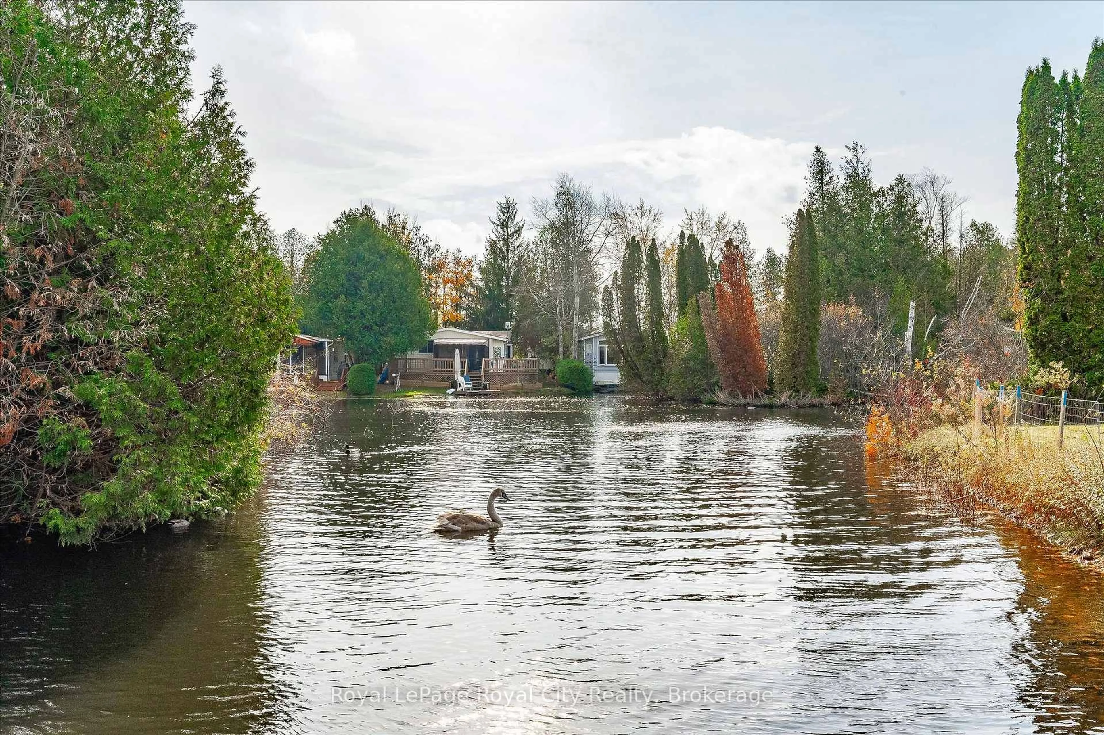 Blurry image for 10 Spruce Ave, Puslinch Ontario N0B 2J0