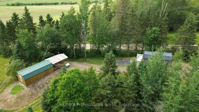 737 HILL AND GULLY Rd, Ryerson 5