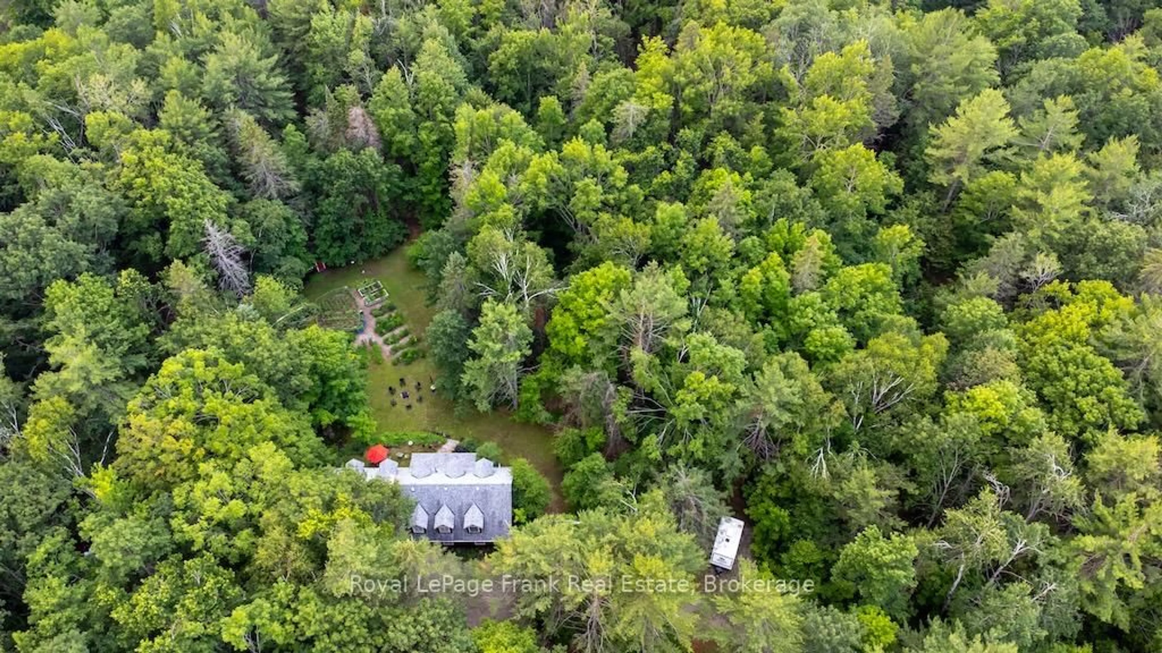 A pic from outside/outdoor area/front of a property/back of a property/a pic from drone, forest/trees view for 3719 County Rd 507 Rd, Trent Lakes Ontario K0L 1J0