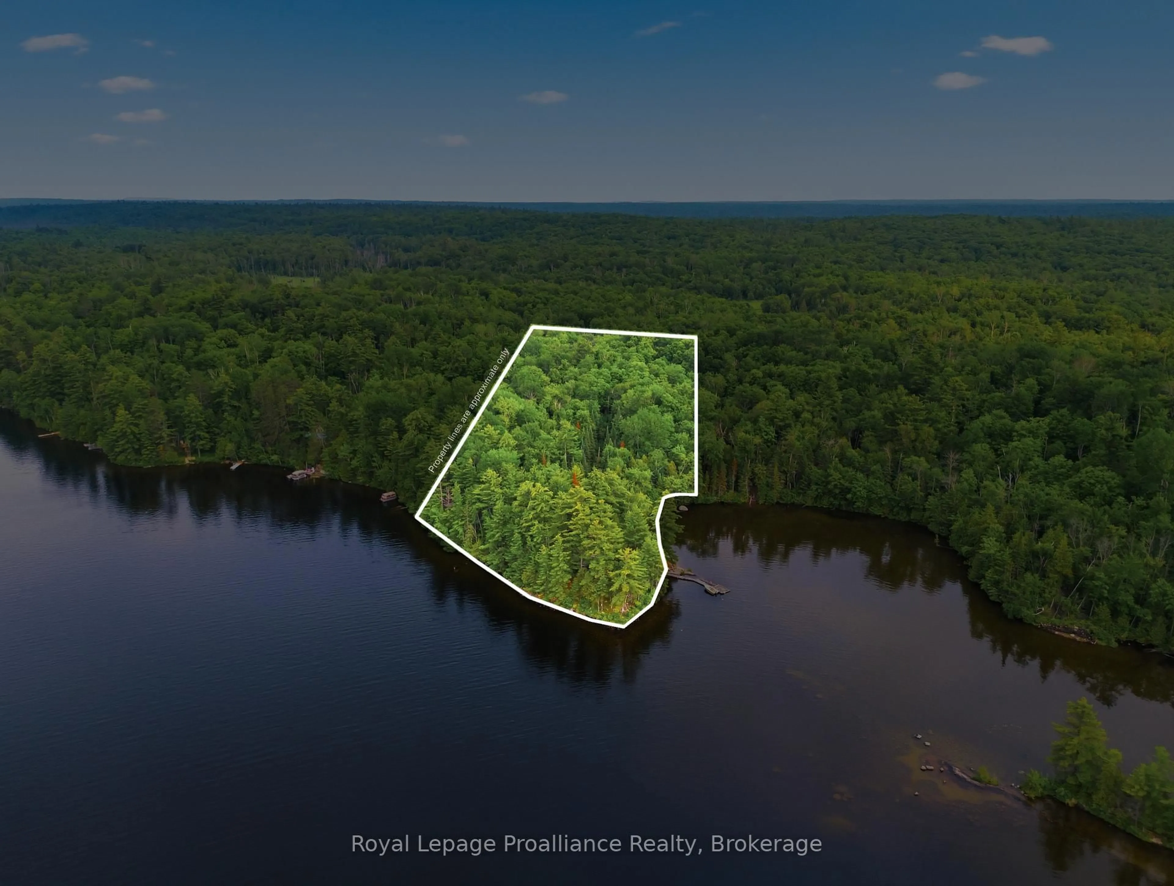 A pic from outside/outdoor area/front of a property/back of a property/a pic from drone, water/lake/river/ocean view for 786 Mazinaw Lake, Cloyne Ontario K0H 1K0