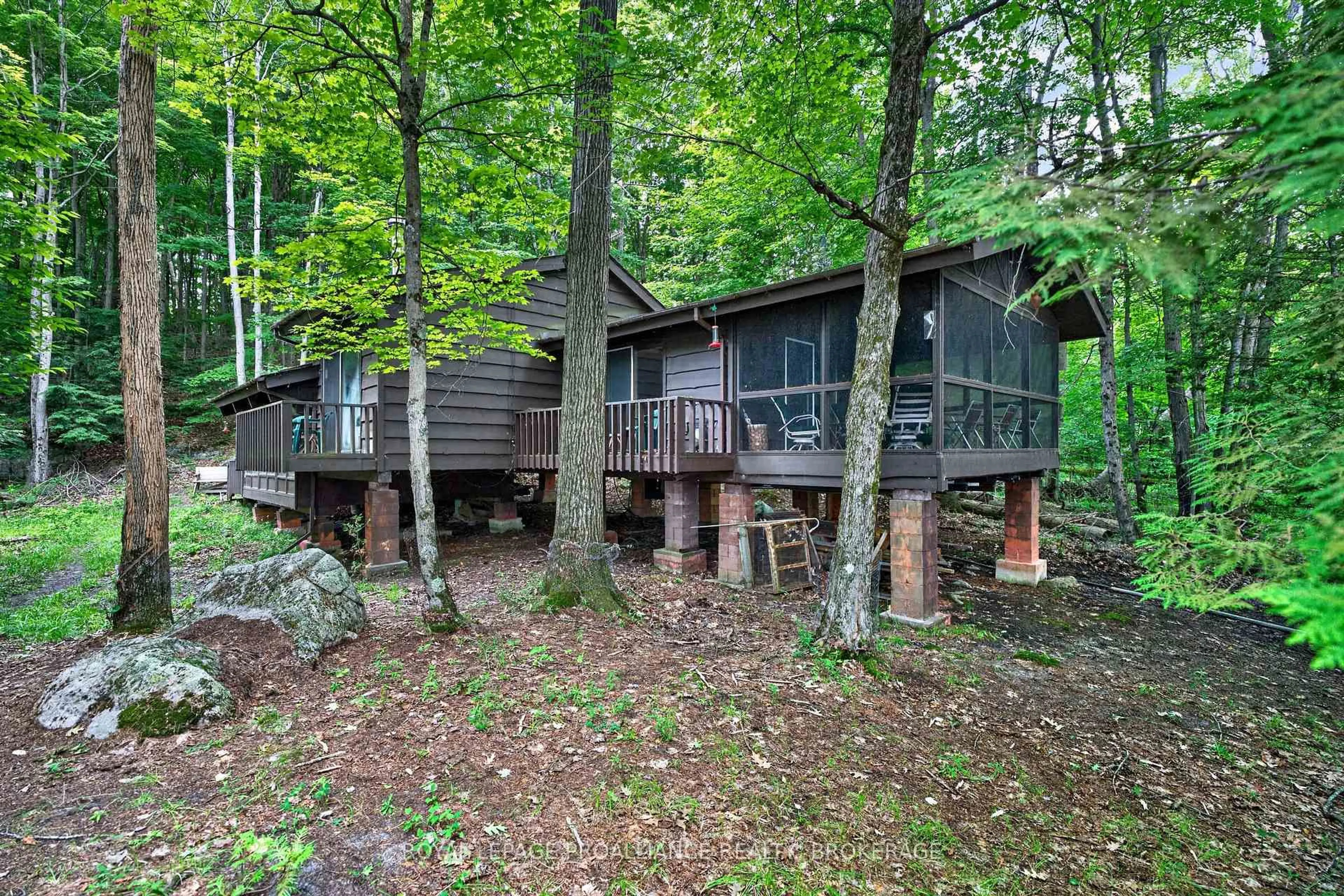 Patio, forest/trees view for 3 Scott Island, Rideau Lakes Ontario K0G 1X0