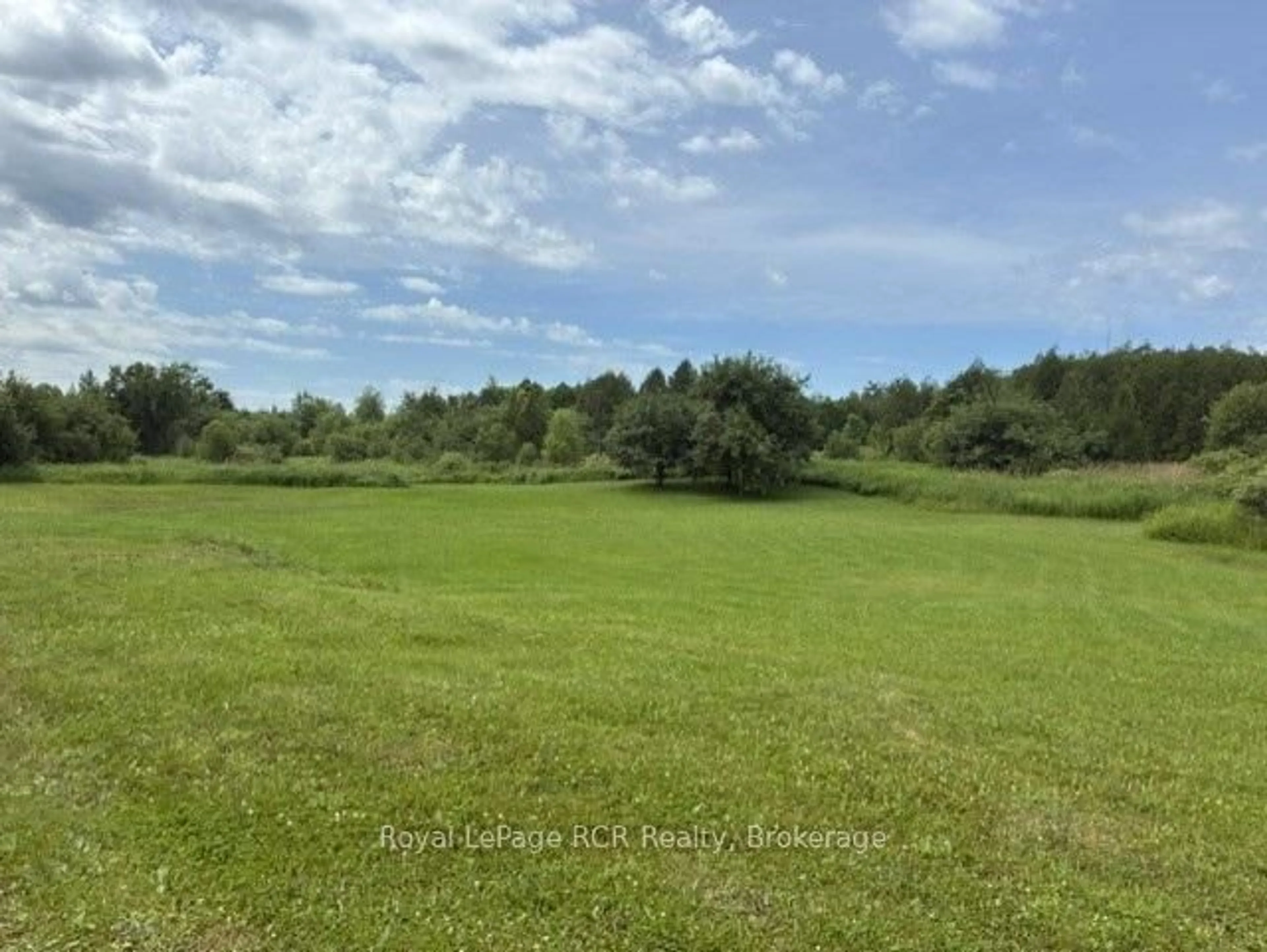 A pic from outside/outdoor area/front of a property/back of a property/a pic from drone, forest/trees view for 382162 Concession 17 Rd, Georgian Bluffs Ontario N0H 2T0