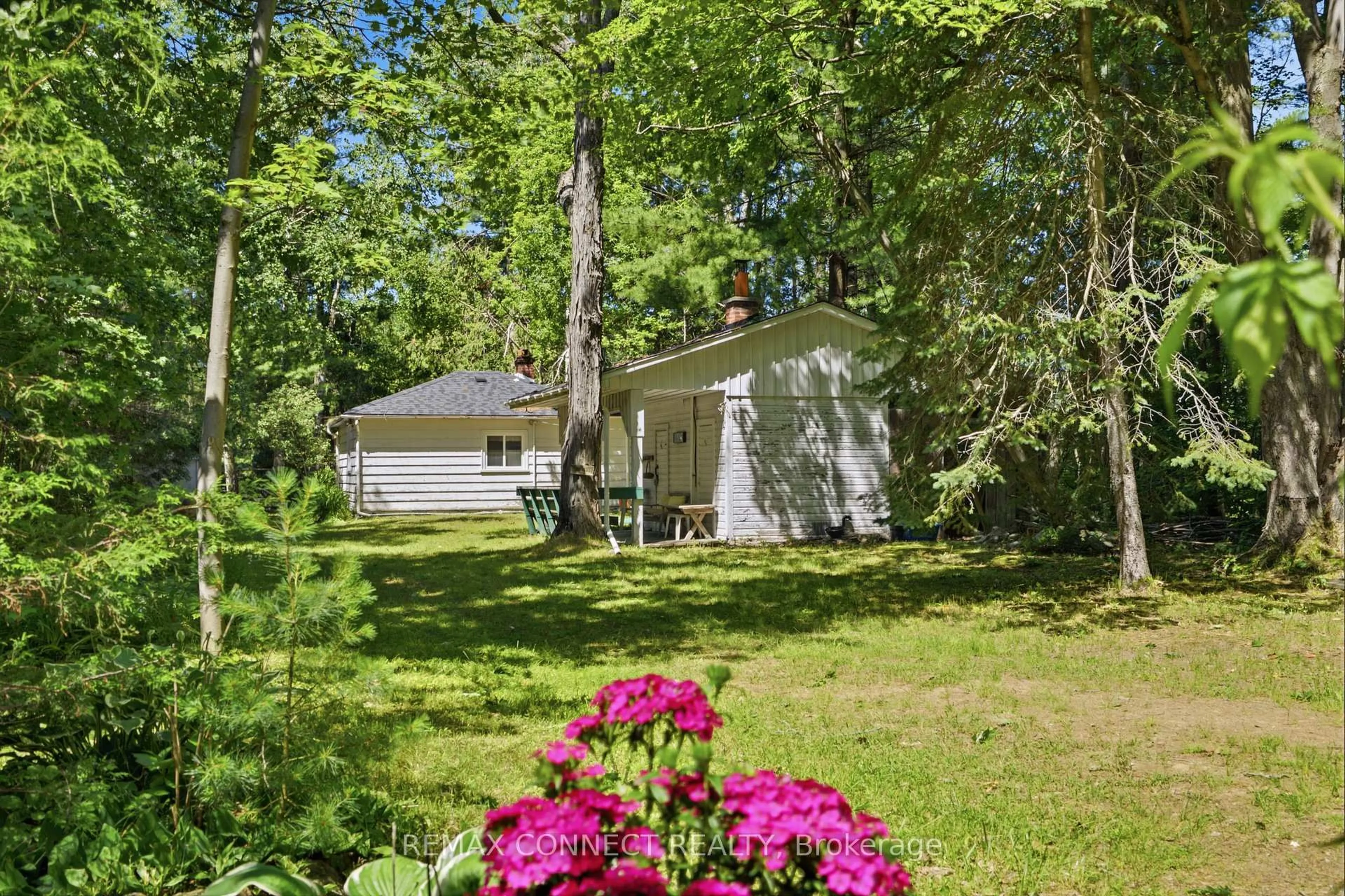 A pic from outside/outdoor area/front of a property/back of a property/a pic from drone, forest/trees view for 77 Stanley Rd, Kawartha Lakes Ontario K0M 2T0