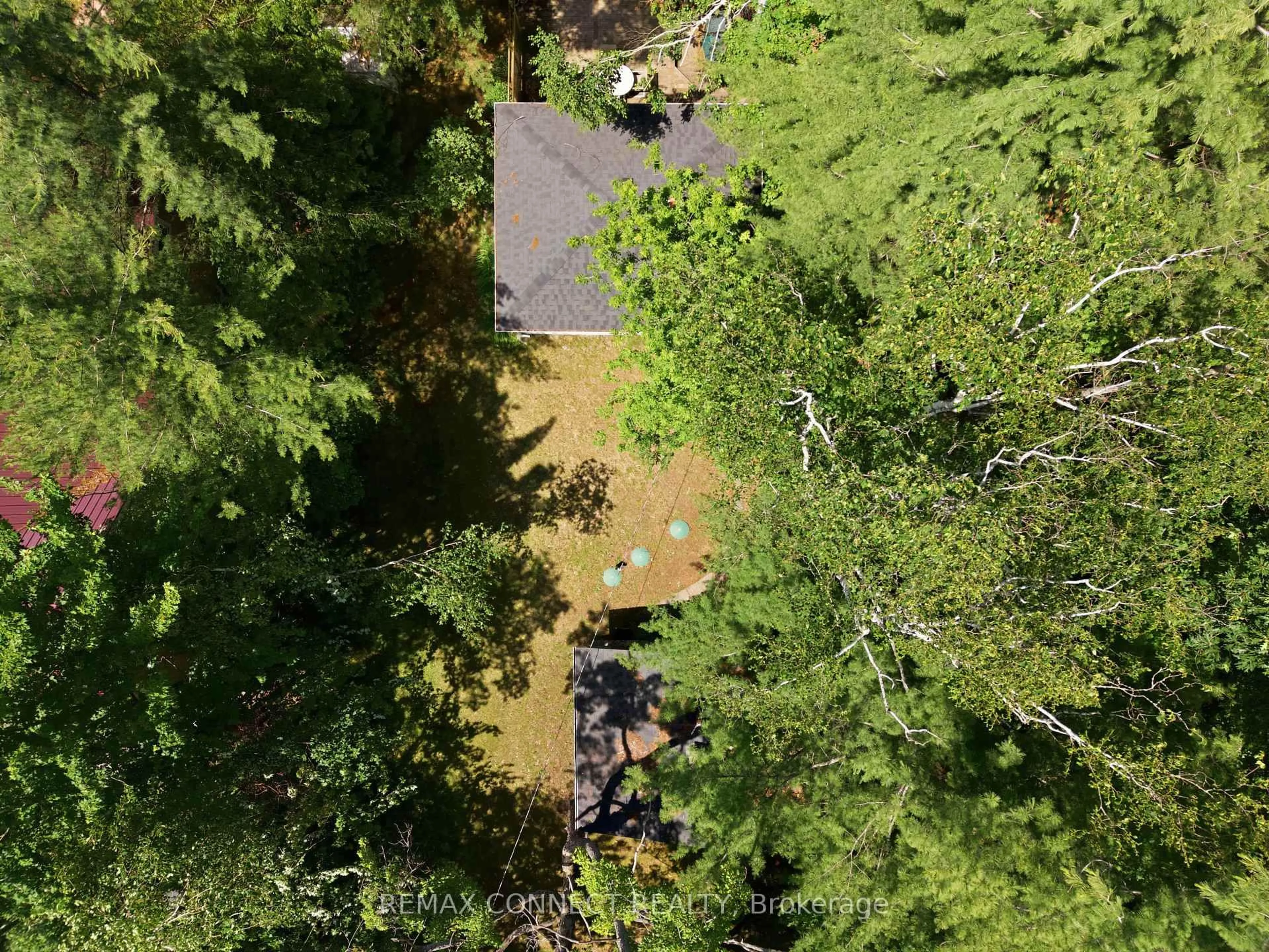 A pic from outside/outdoor area/front of a property/back of a property/a pic from drone, forest/trees view for 77 Stanley Rd, Kawartha Lakes Ontario K0M 2T0