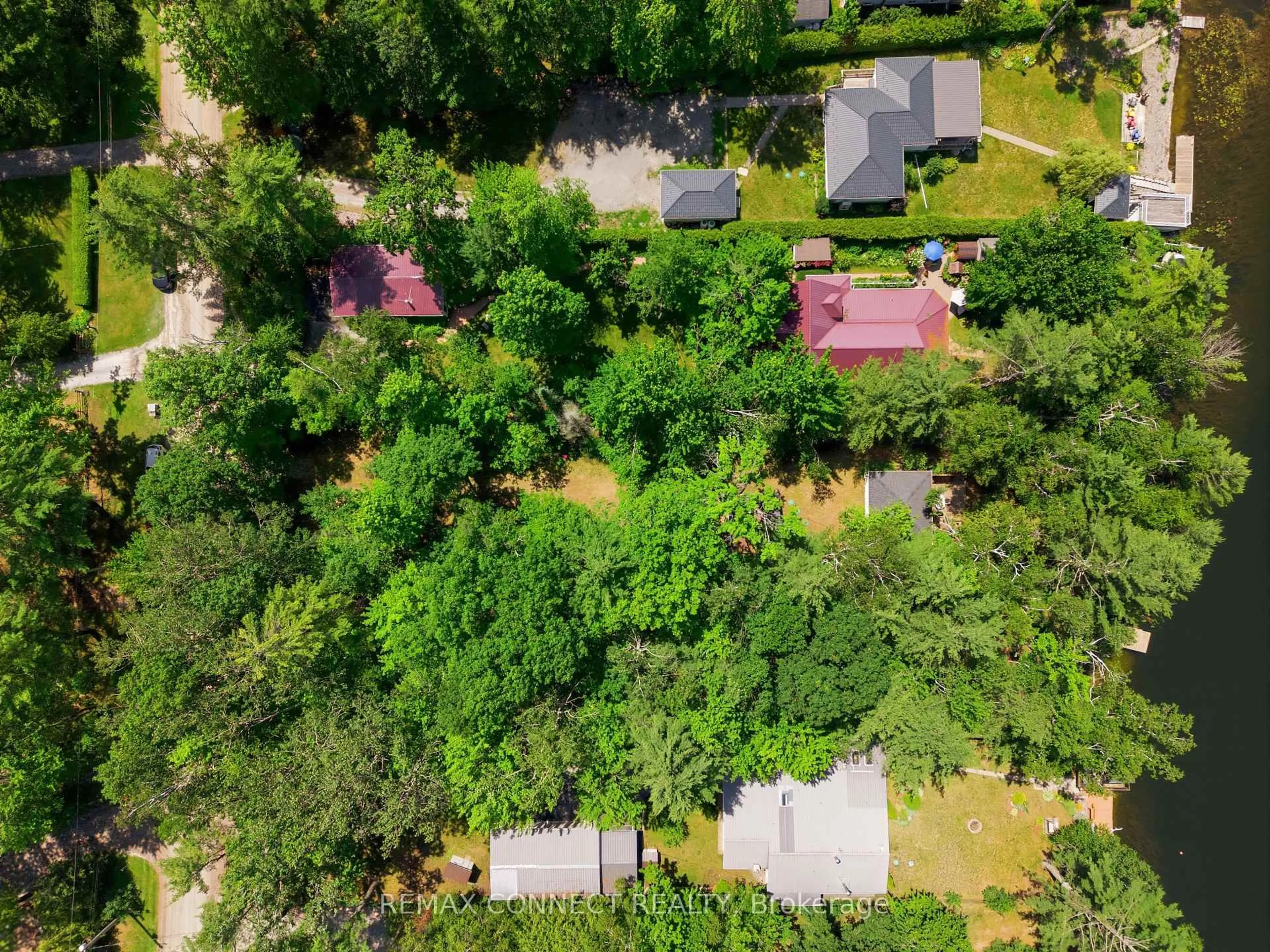 A pic from outside/outdoor area/front of a property/back of a property/a pic from drone, forest/trees view for 77 Stanley Rd, Kawartha Lakes Ontario K0M 2T0