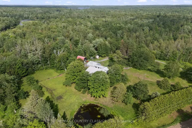 4587 Old Hastings Rd, Hastings 5