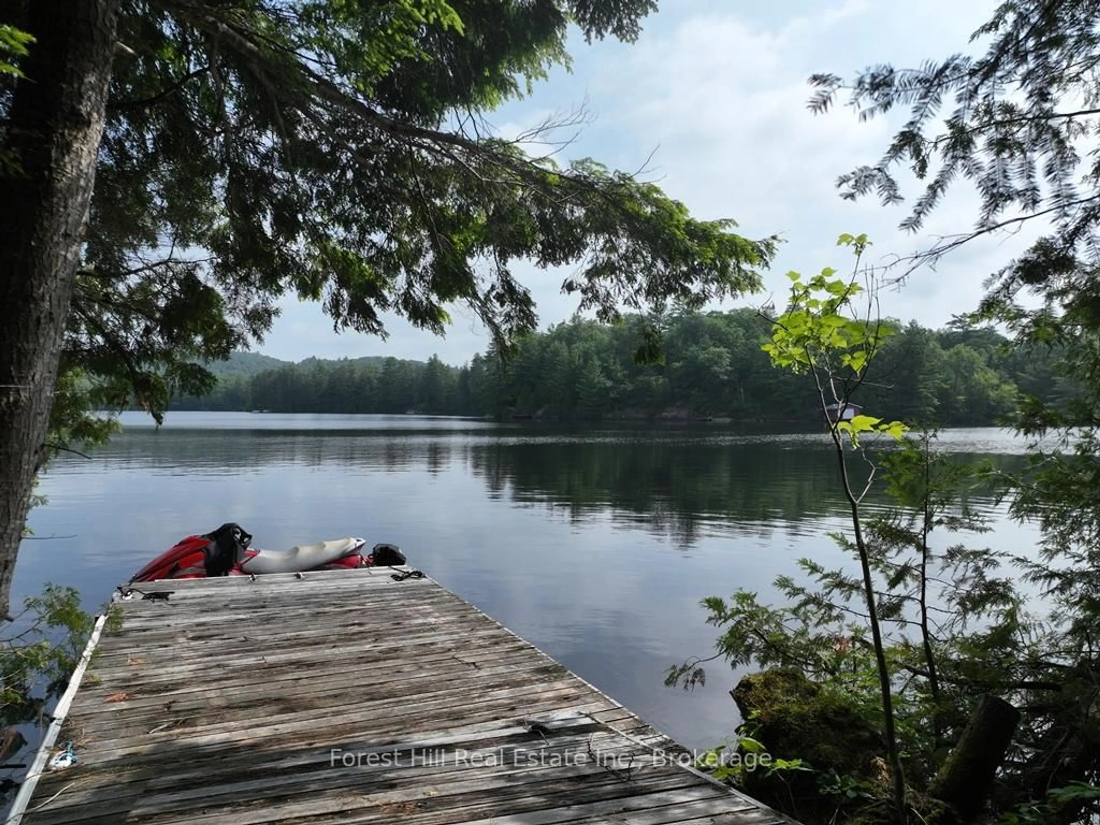 Unknown for 0 BEAR LAKE Rd, Algonquin Highlands Ontario P0A 1E0