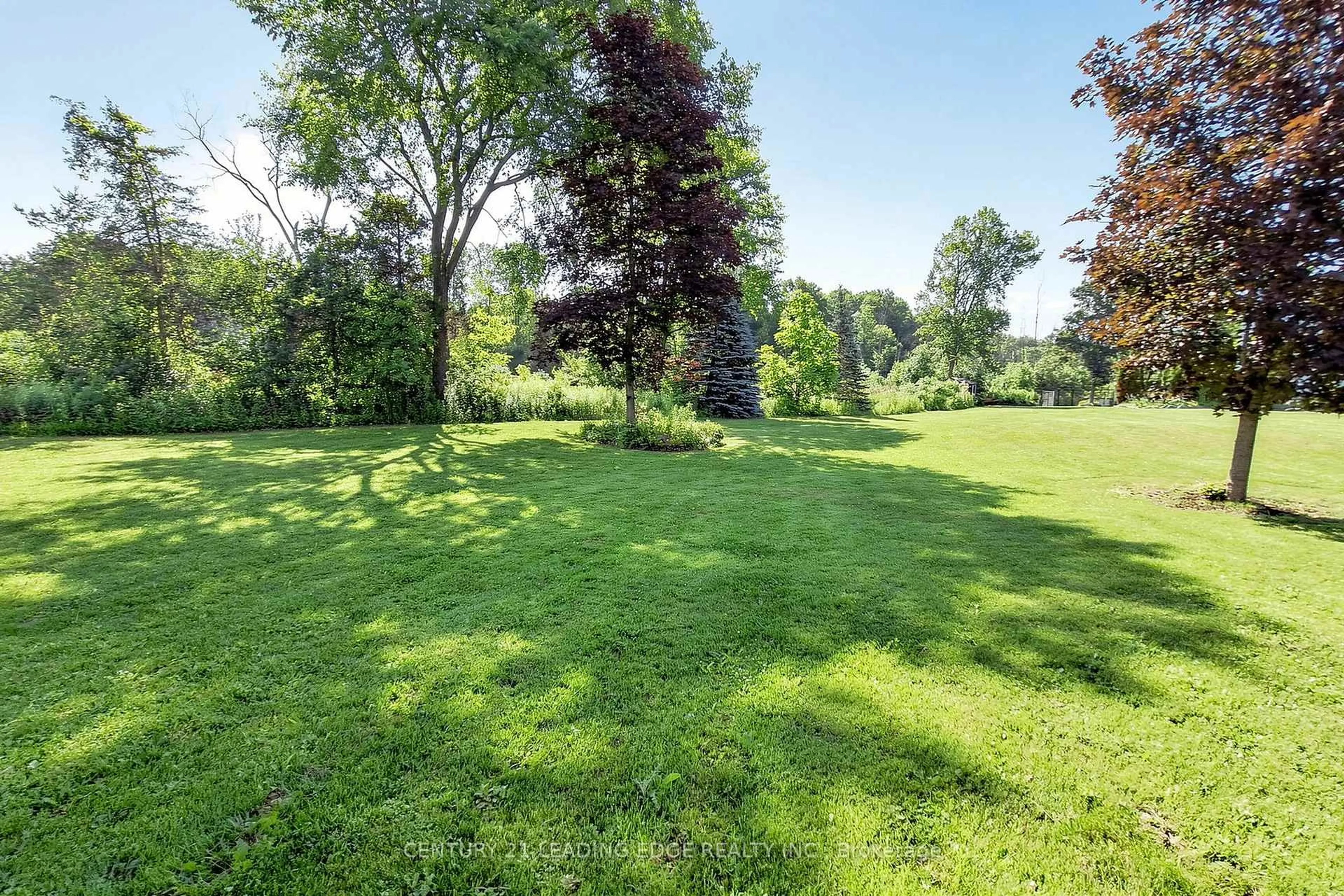 A pic from outside/outdoor area/front of a property/back of a property/a pic from drone, forest/trees view for 134 C Mudcat Rd, Corbyville Ontario K0K 1V0