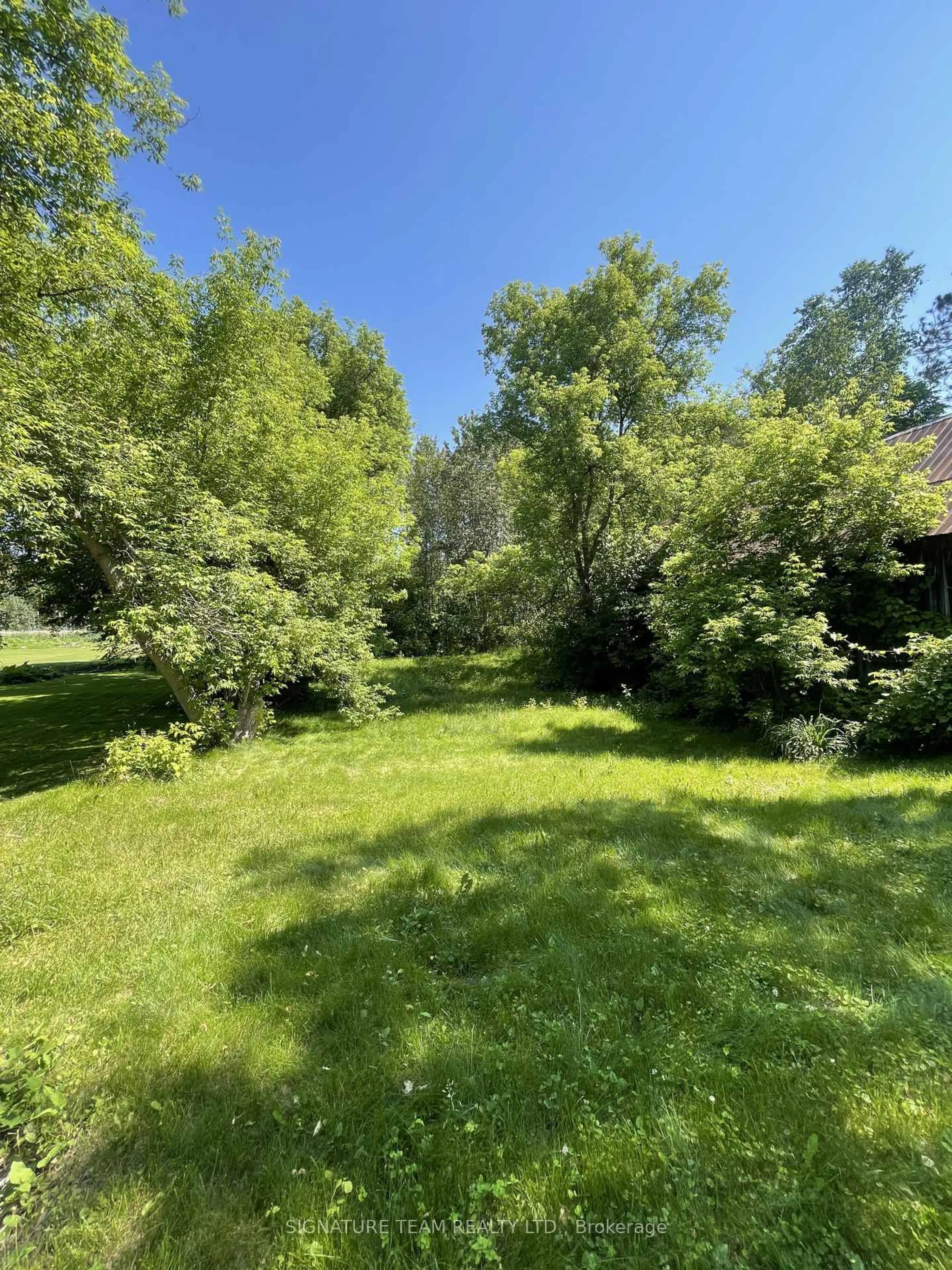 A pic from outside/outdoor area/front of a property/back of a property/a pic from drone, forest/trees view for 207 Jane St, Eganville Ontario K0J 1T0