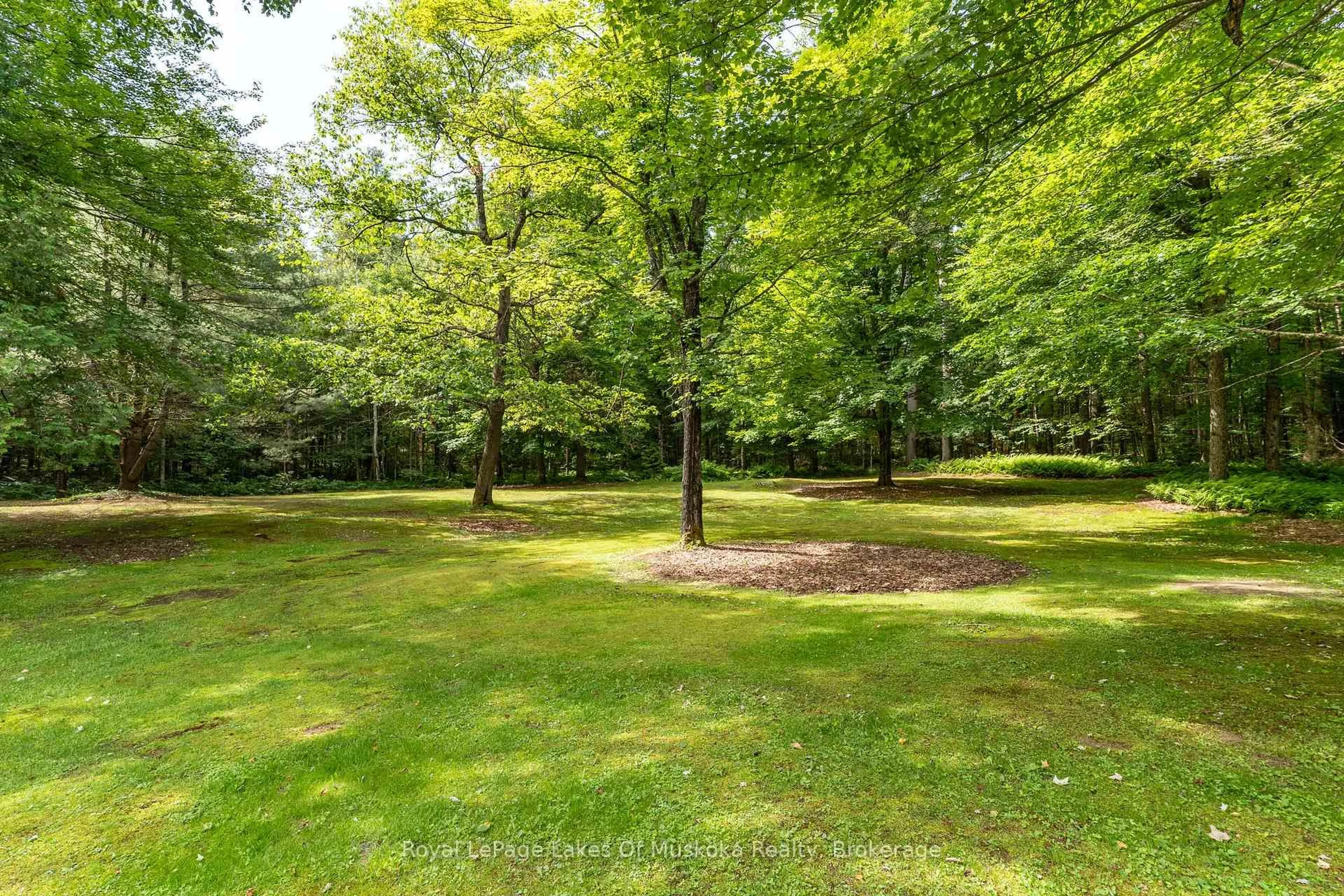 A pic from outside/outdoor area/front of a property/back of a property/a pic from drone, forest/trees view for 1170 Muskoka 117 Rd, Bracebridge Ontario P1L 1W9