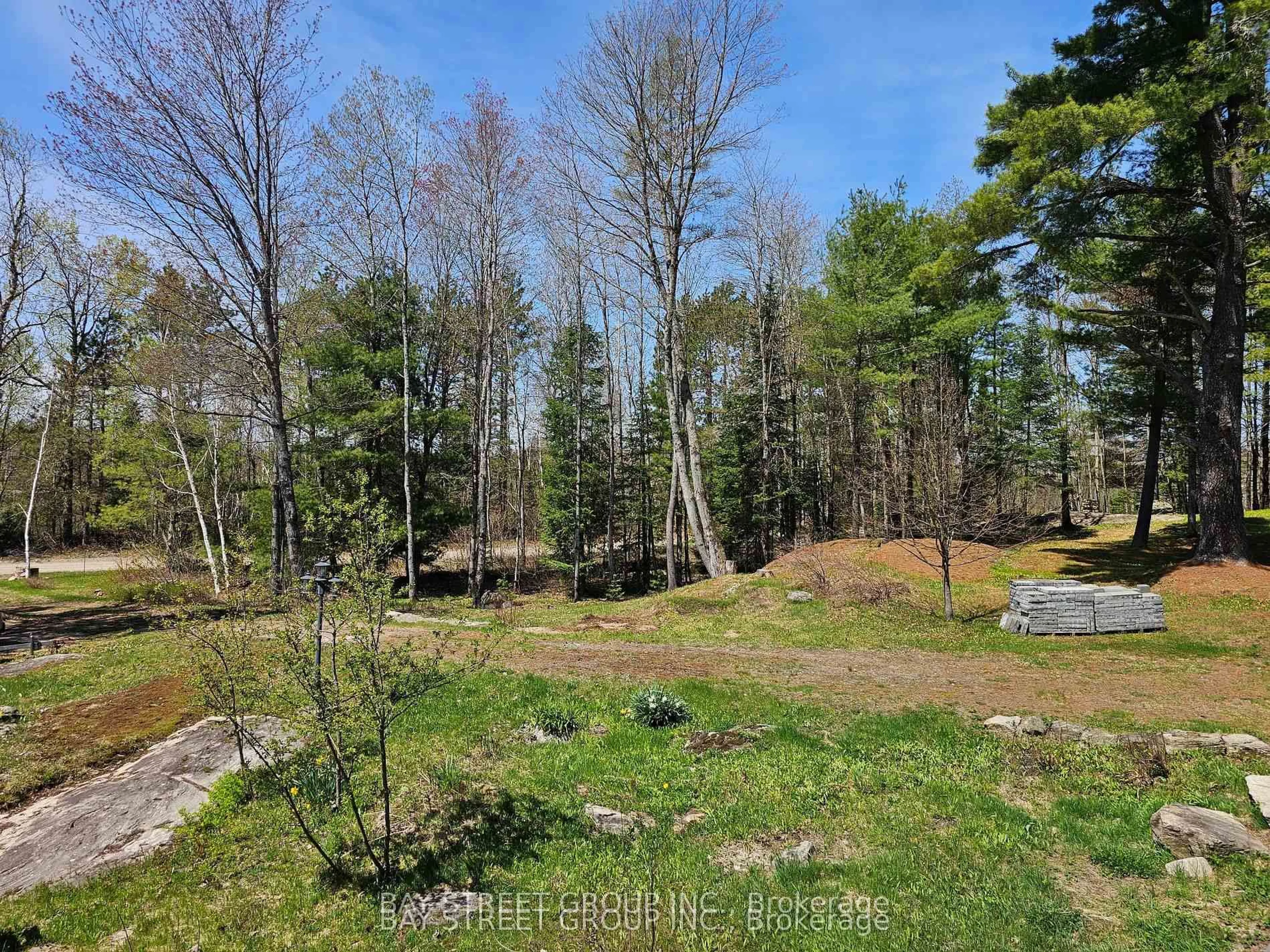 A pic from outside/outdoor area/front of a property/back of a property/a pic from drone, forest/trees view for 1032 Spring Lake Rd, Bracebridge Ontario P1L 1X1