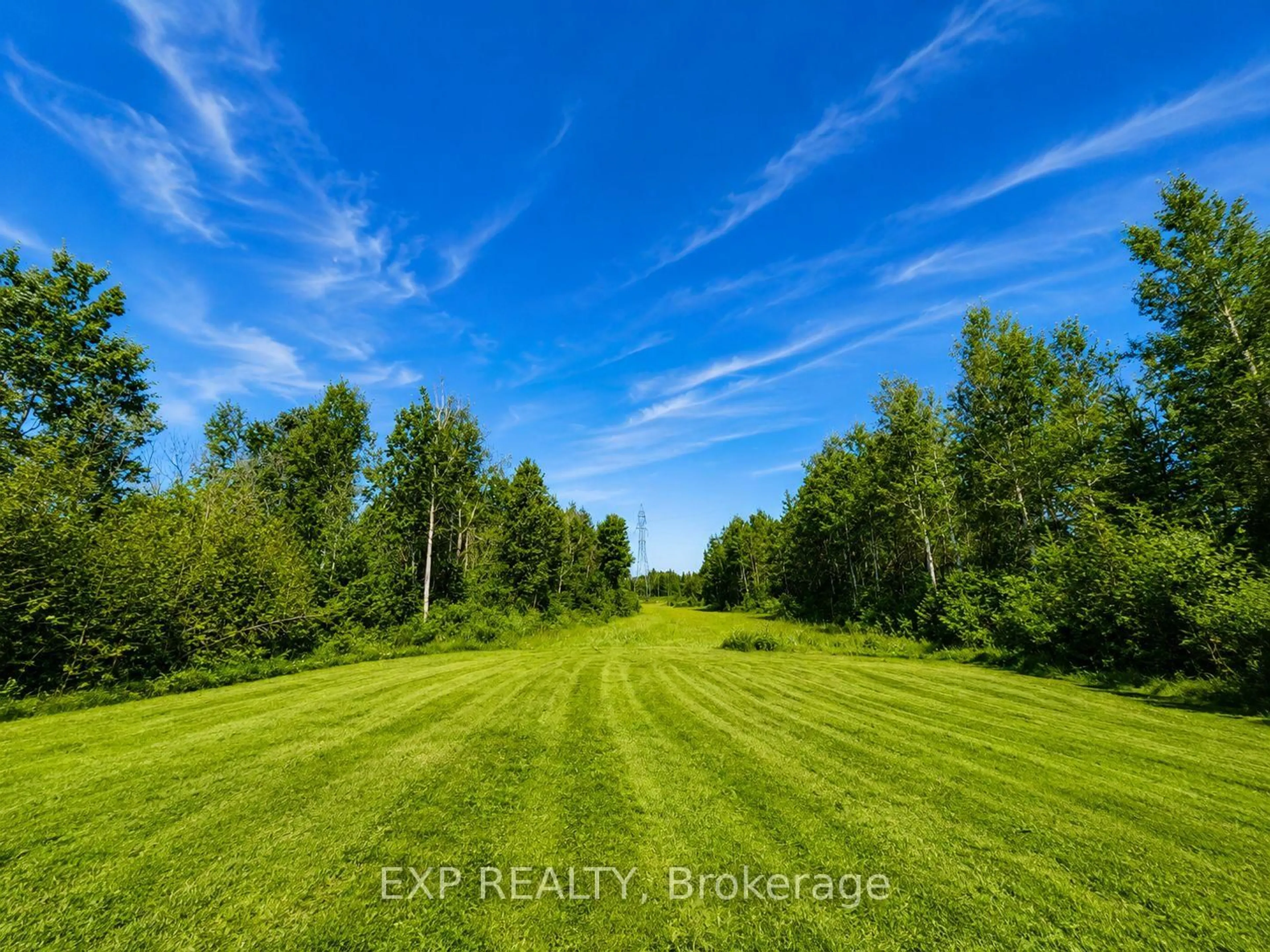 A pic from outside/outdoor area/front of a property/back of a property/a pic from drone, forest/trees view for 10270 Harvey Rd, Merrickville-Wolford Ontario K0G 1R0