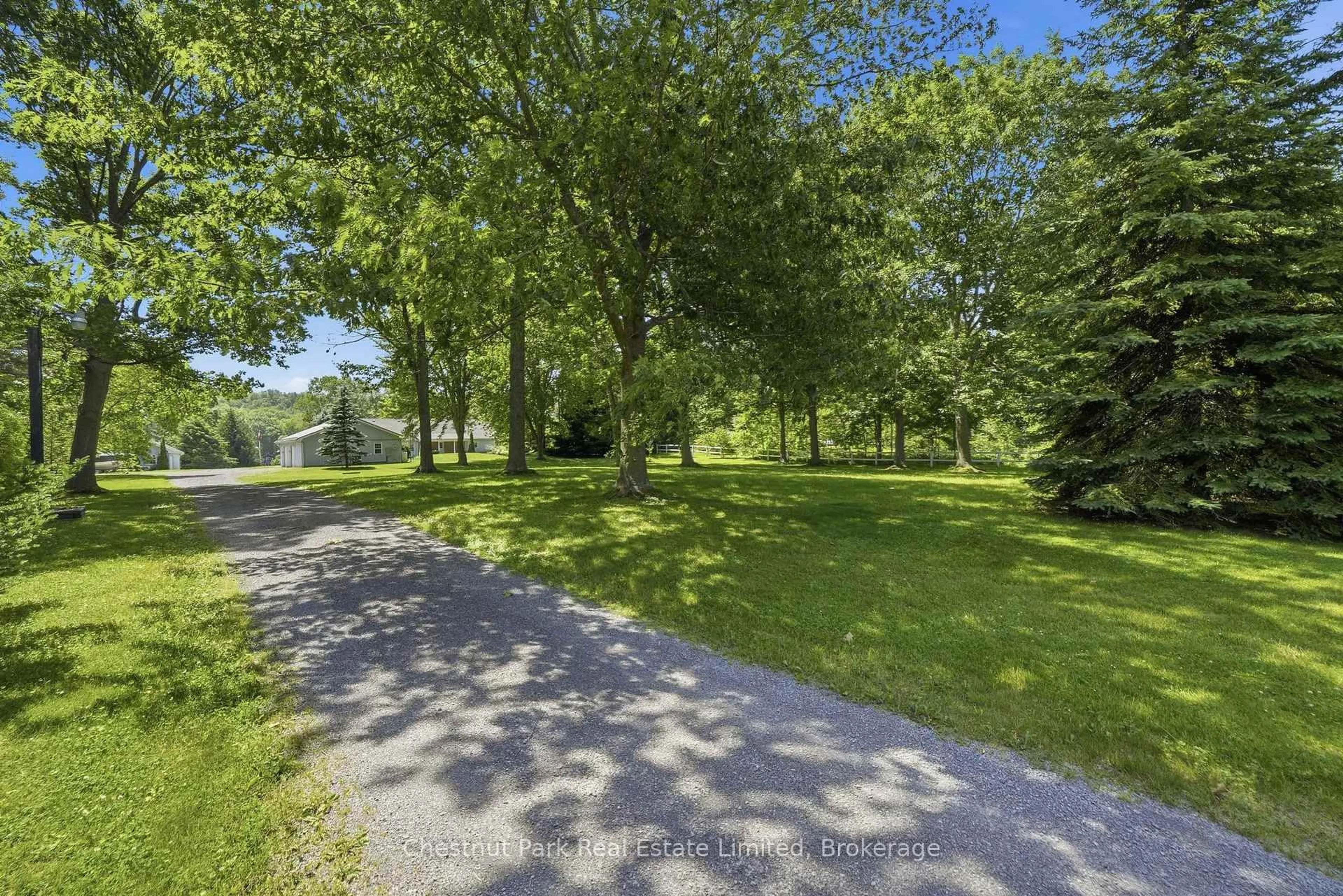 A pic from outside/outdoor area/front of a property/back of a property/a pic from drone, forest/trees view for 42 Morrison Point Rd, Prince Edward County Ontario K0K 2T0