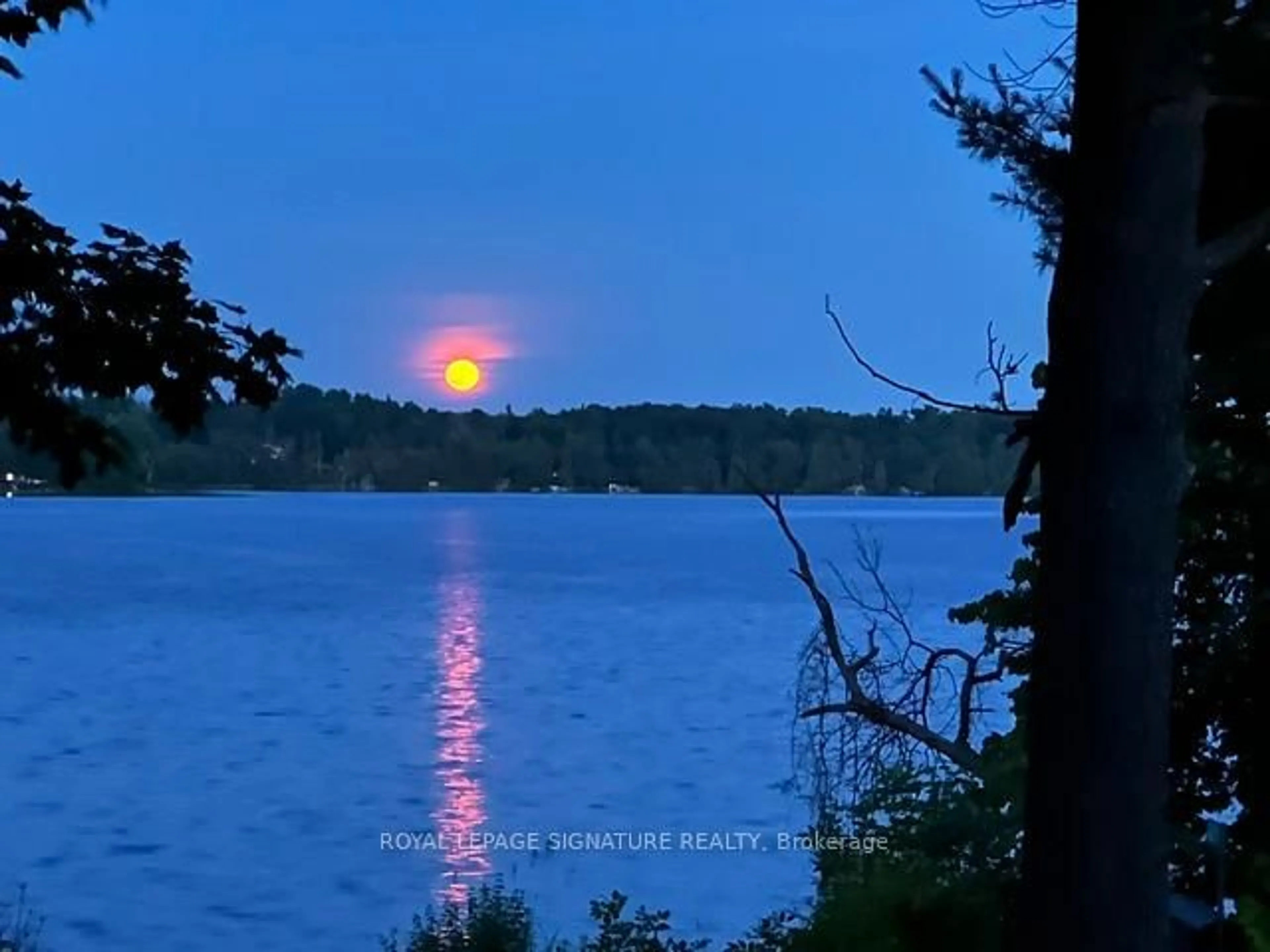 Blurry image for 321 Avery Point Rd, Kawartha Lakes Ontario L0K 1W0