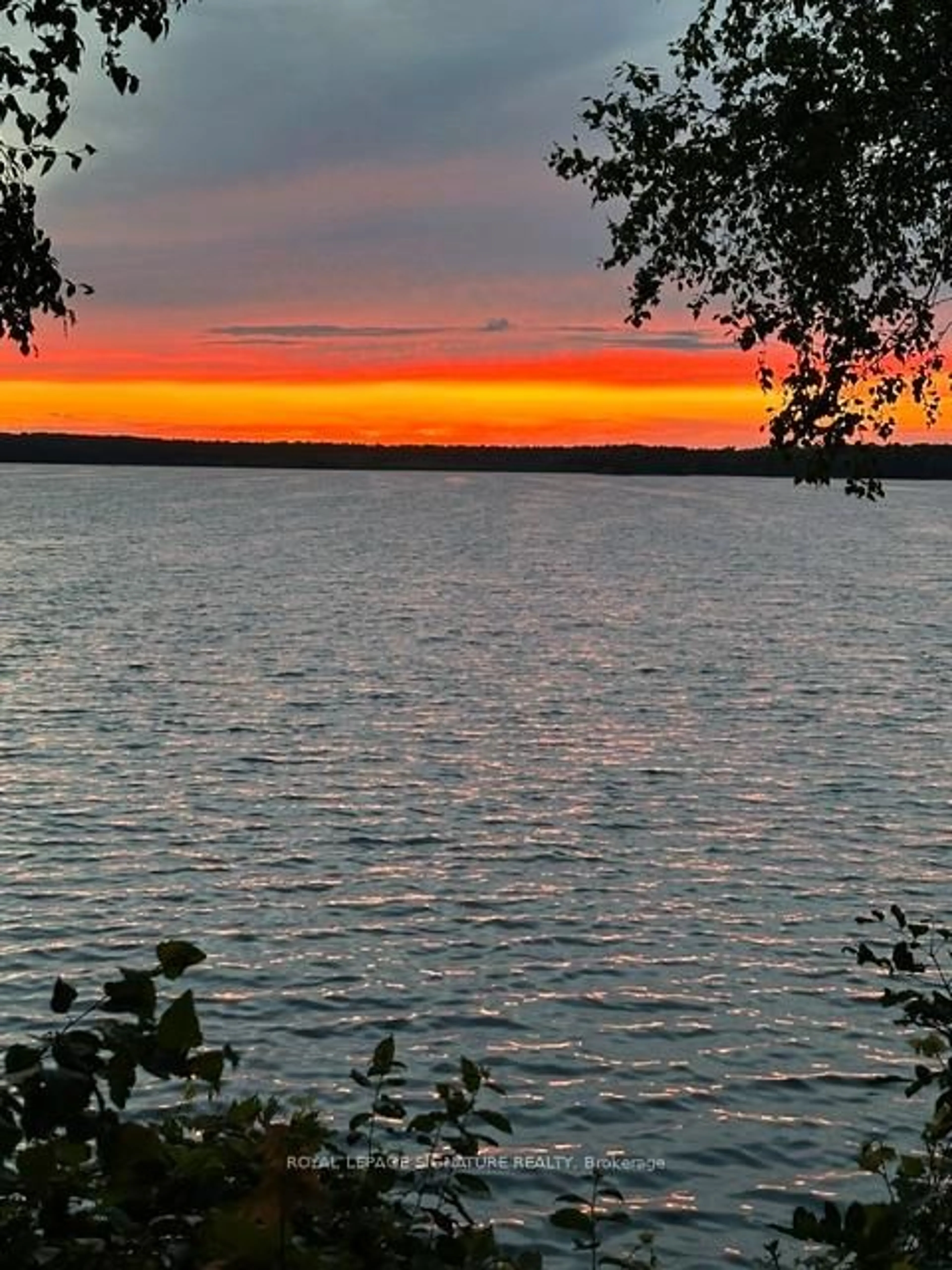 Blurry image for 321 Avery Point Rd, Kawartha Lakes Ontario L0K 1W0