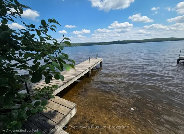 2011 North Shore Rd, Algonquin Highlands 2