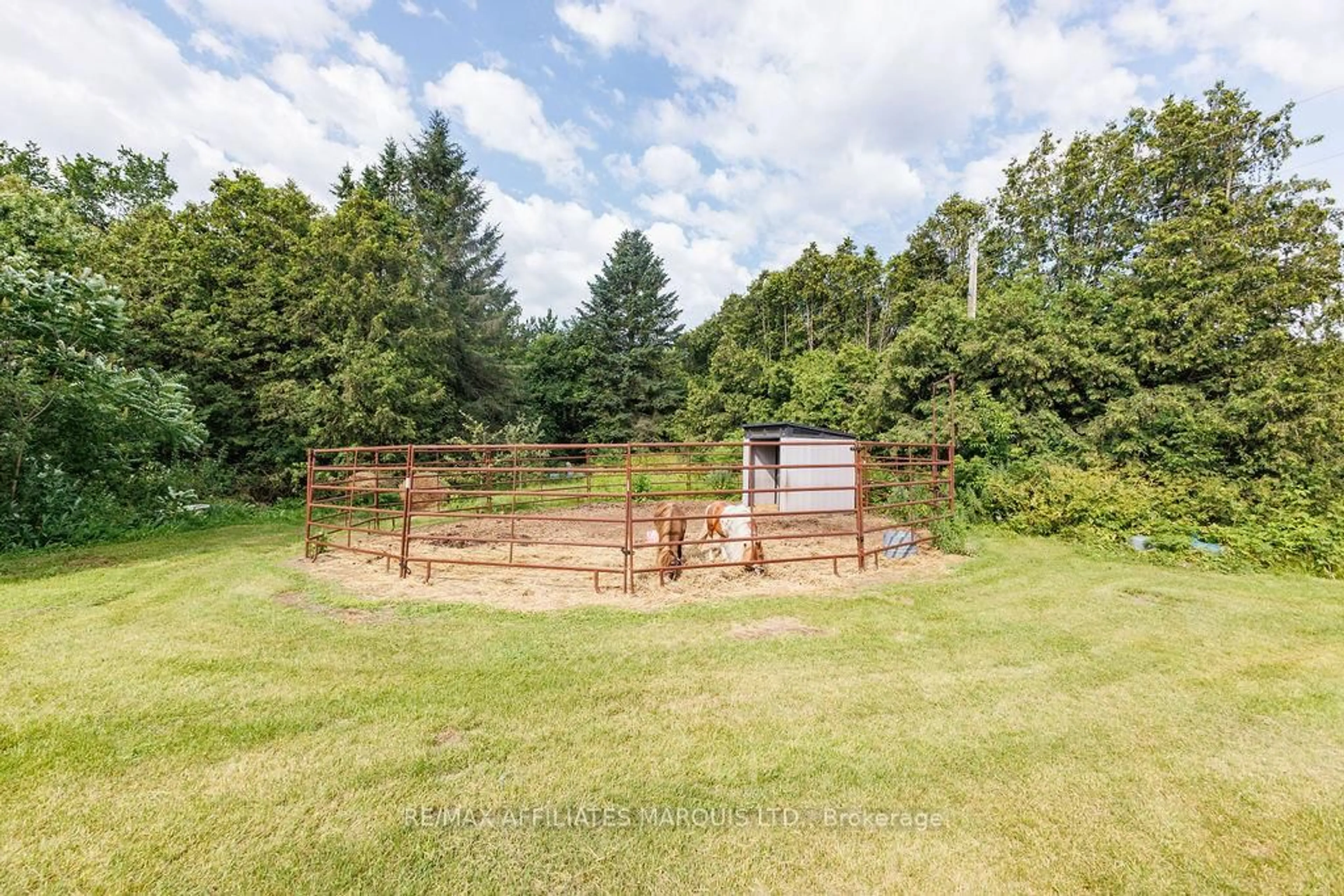 A pic from outside/outdoor area/front of a property/back of a property/a pic from drone, forest/trees view for 21111 Concession 8 Rd, South Glengarry Ontario K0C 1L0