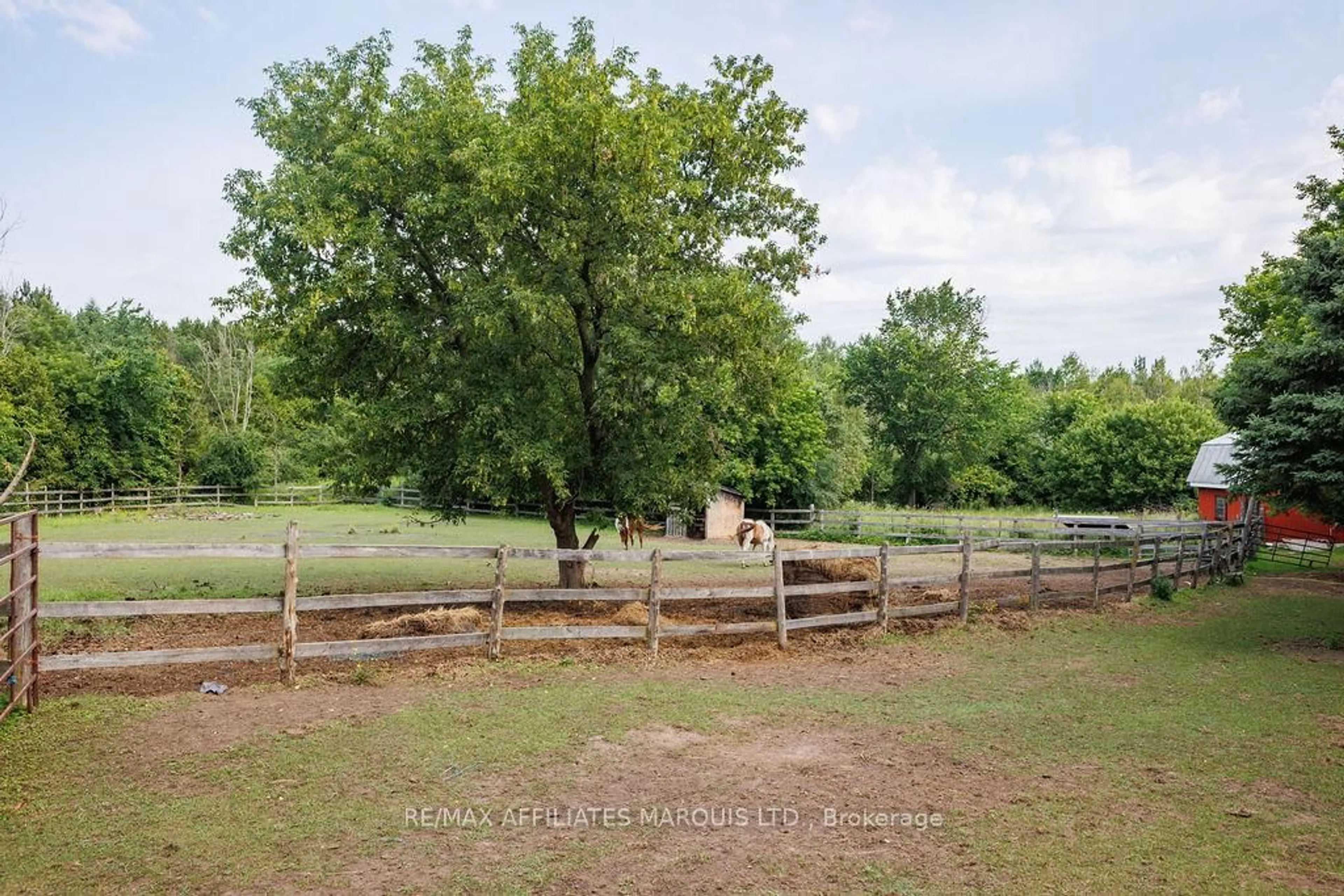 A pic from outside/outdoor area/front of a property/back of a property/a pic from drone, forest/trees view for 21111 Concession 8 Rd, South Glengarry Ontario K0C 1L0