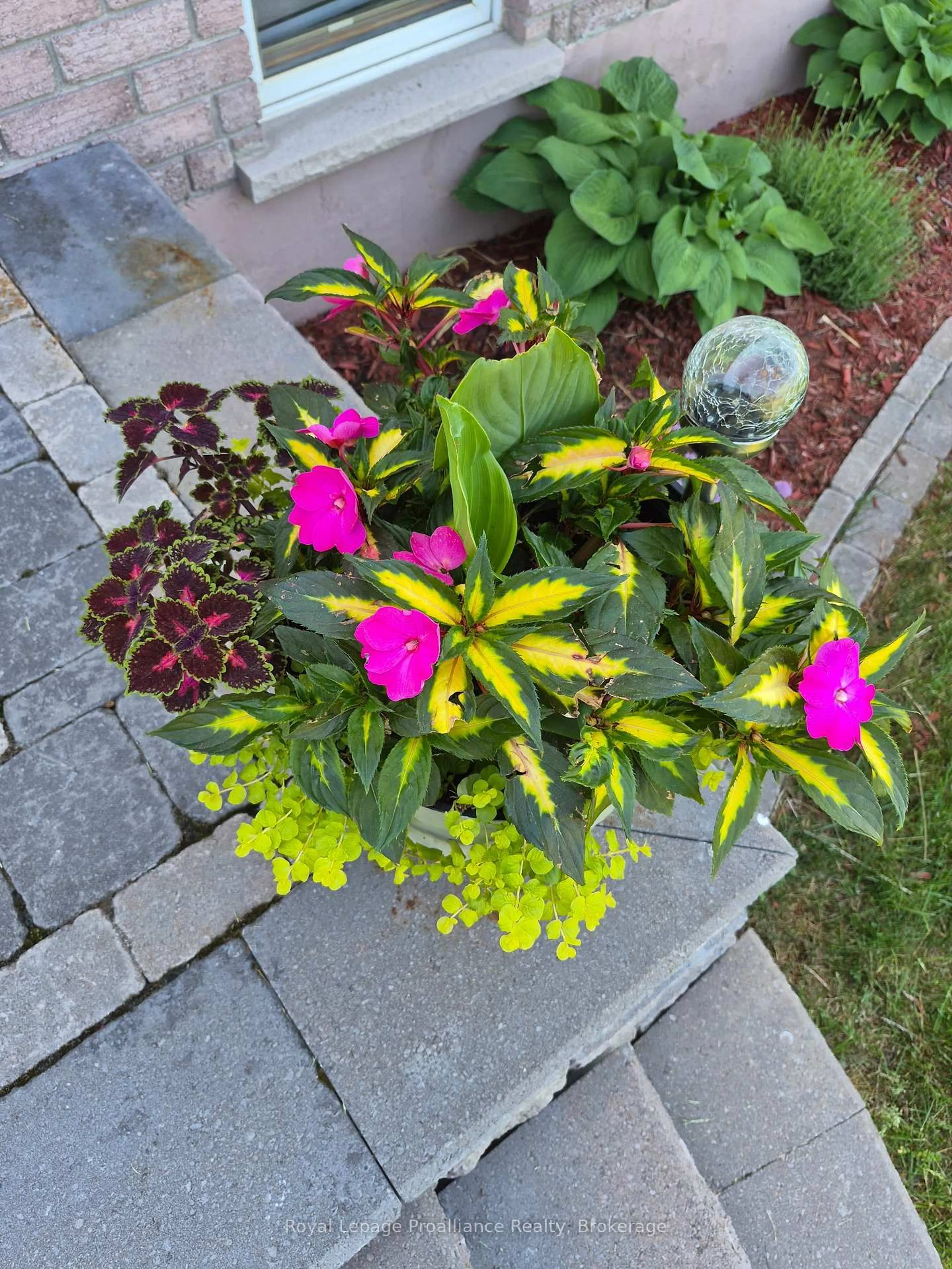 Patio, street for 40 Wallbridge Circ, Prince Edward County Ontario K8N 4Z7