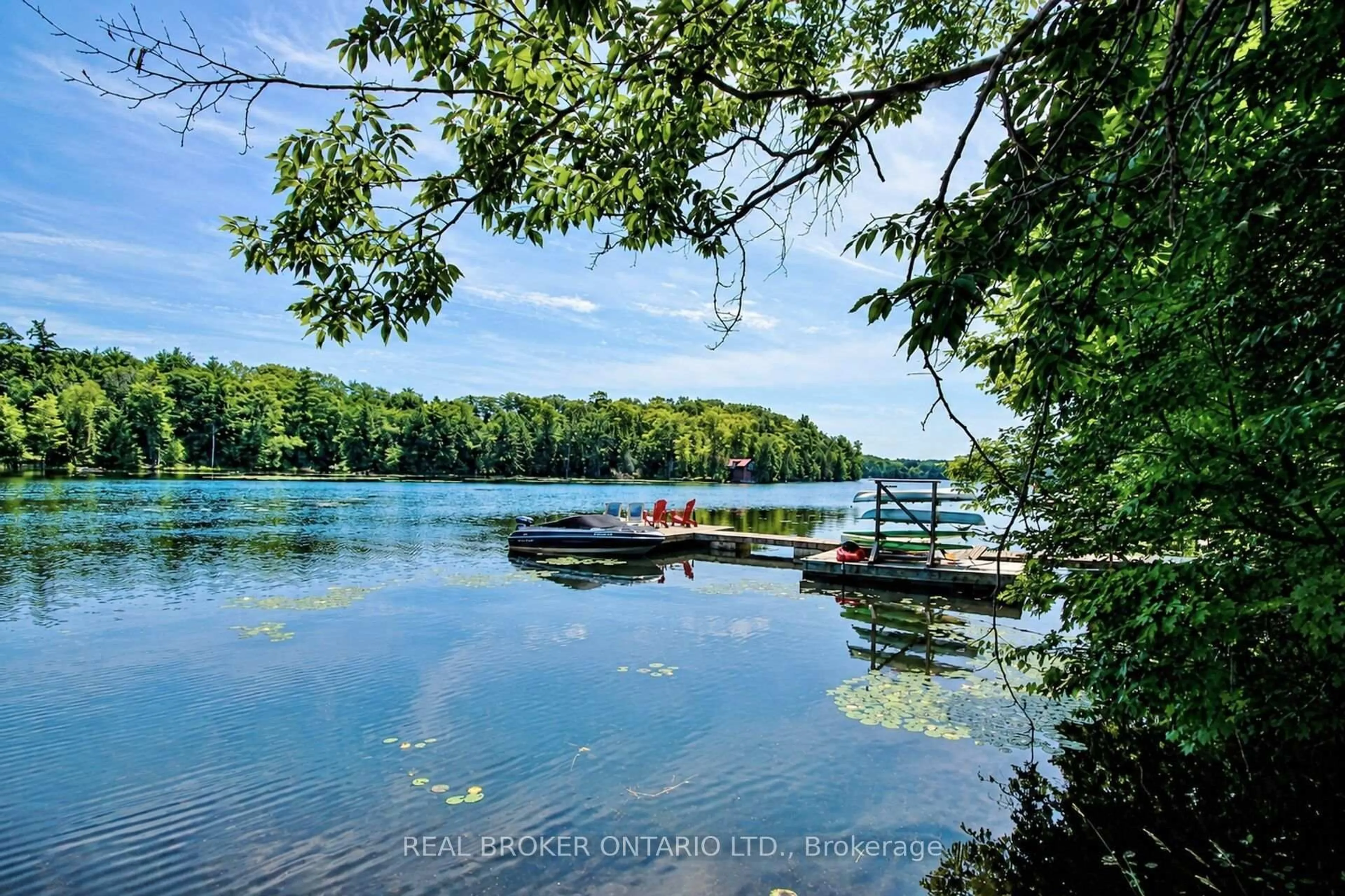 A pic from outside/outdoor area/front of a property/back of a property/a pic from drone, water/lake/river/ocean view for 59 Fairhaven Lane, Maberly Ontario K0H 2B0