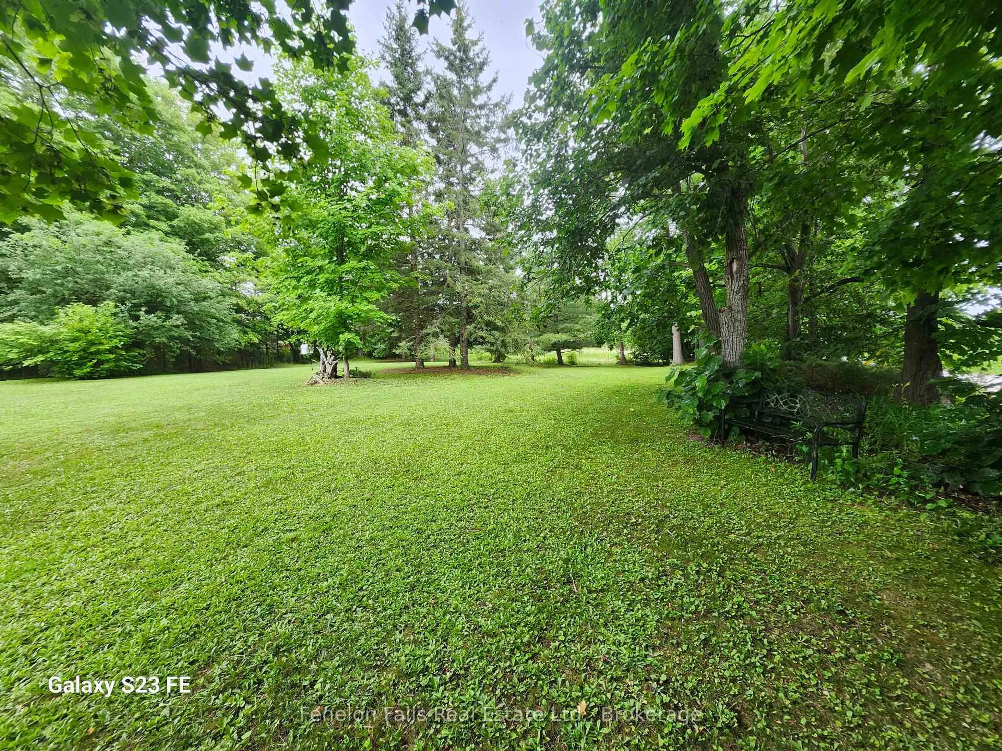 A pic from outside/outdoor area/front of a property/back of a property/a pic from drone, forest/trees view for 6 Fell Station Dr, Kawartha Lakes Ontario K0M 1N0