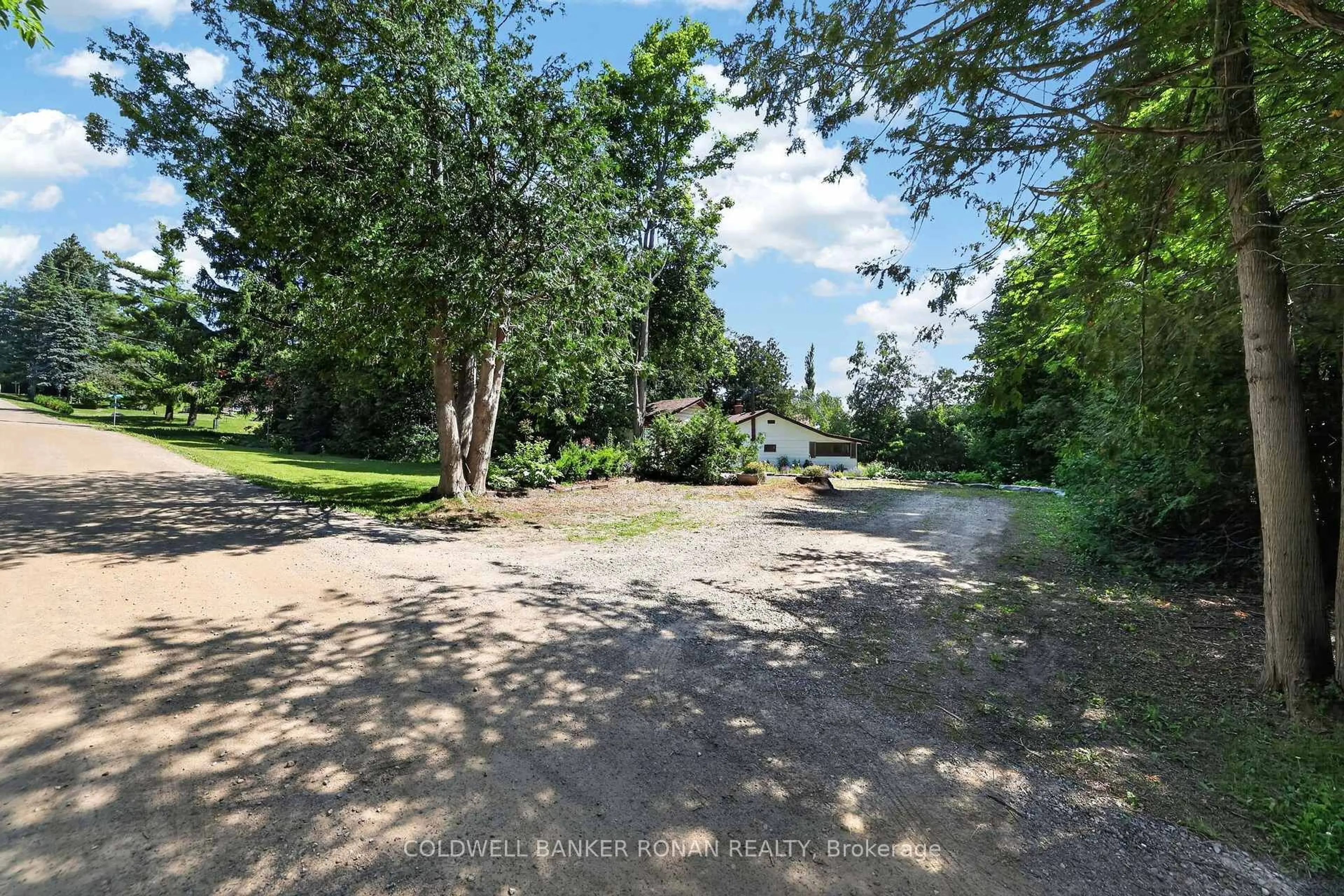 A pic from outside/outdoor area/front of a property/back of a property/a pic from drone, forest/trees view for 16 Dean Rd, Mulmur Ontario L9V 3E7
