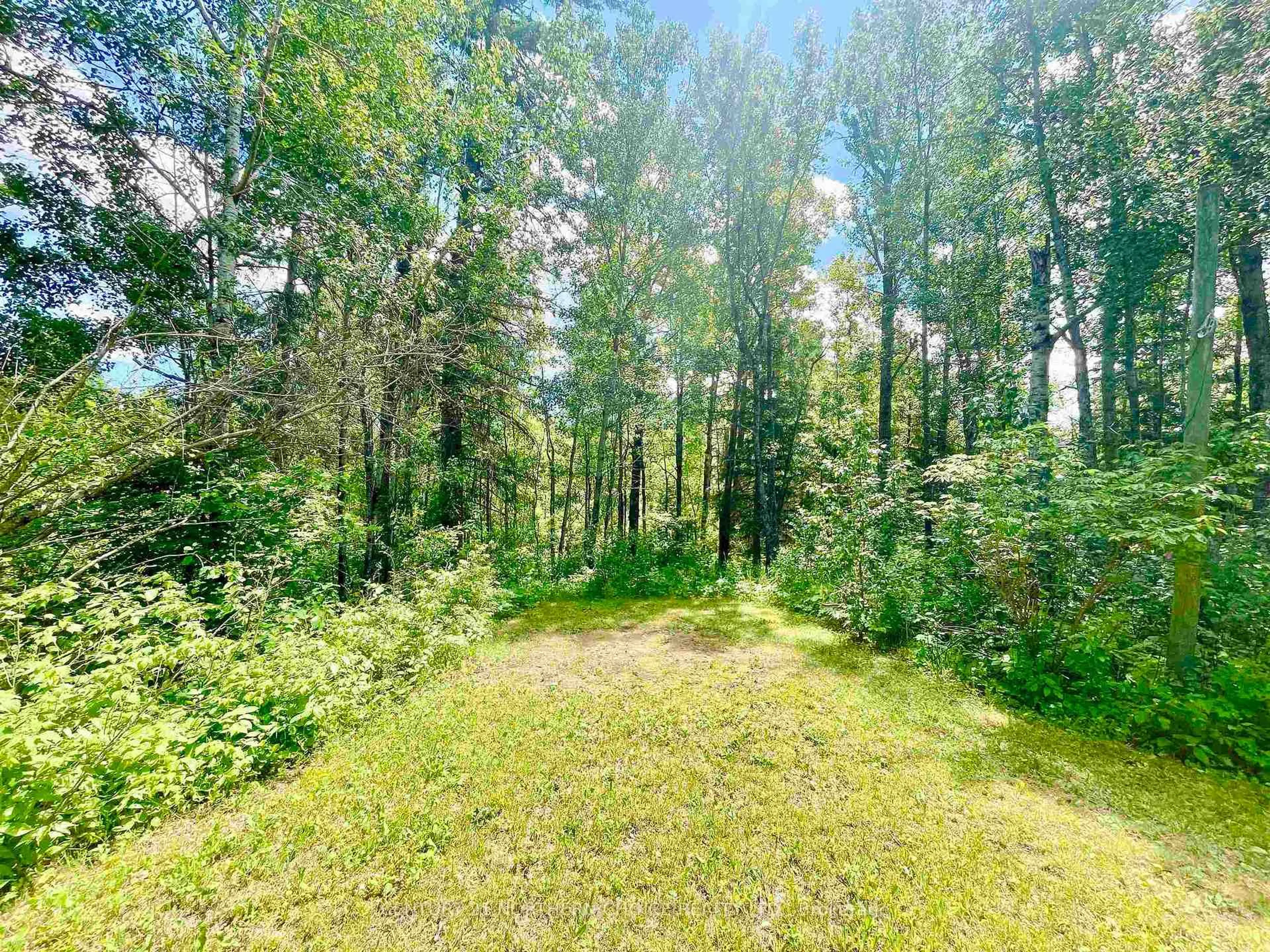 A pic from outside/outdoor area/front of a property/back of a property/a pic from drone, forest/trees view for 20 Falls Rd, Kenora Remote Area Ontario P0V 2W0