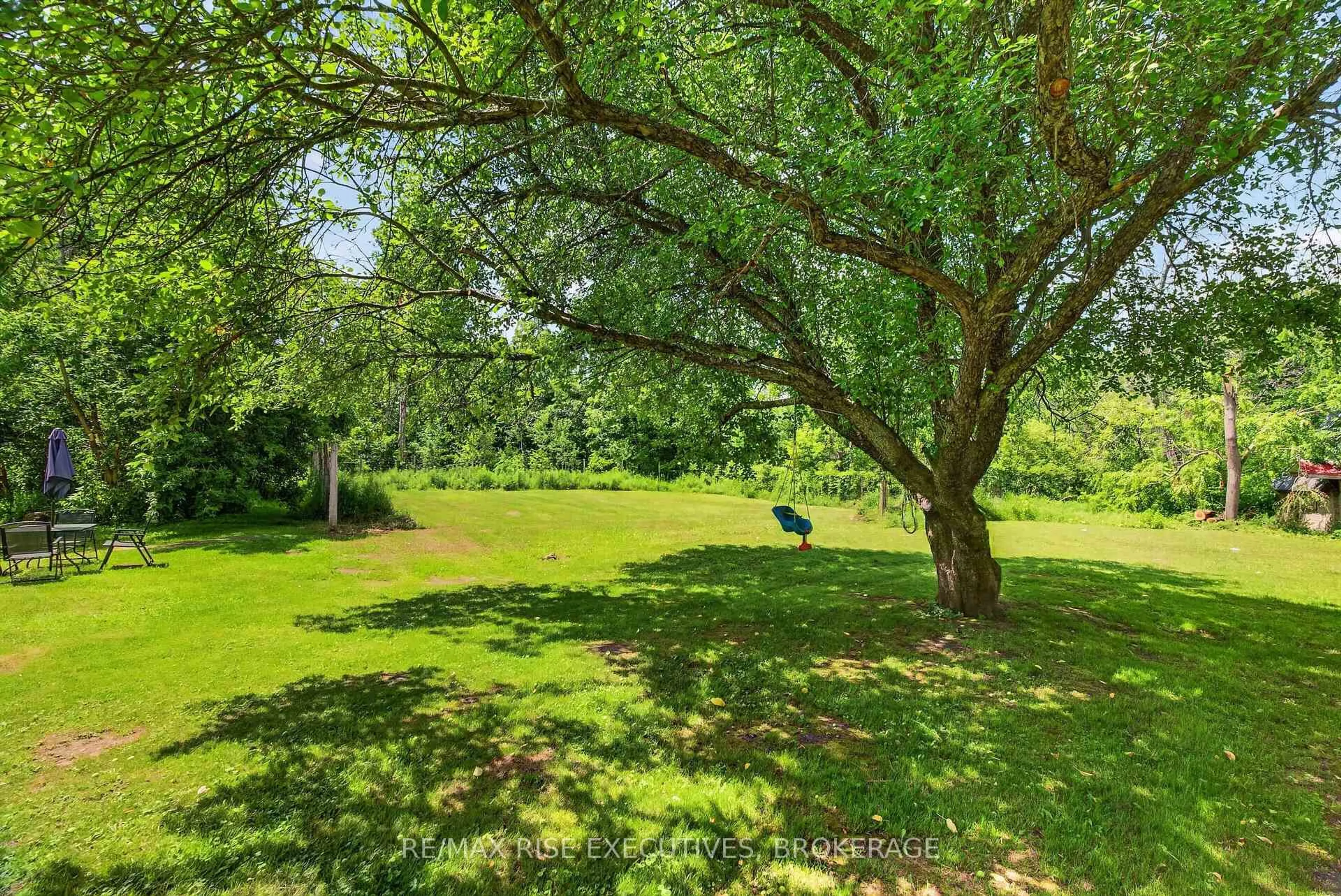 A pic from outside/outdoor area/front of a property/back of a property/a pic from drone, forest/trees view for 6729 Craig Rd, Verona Ontario K0H 2W0