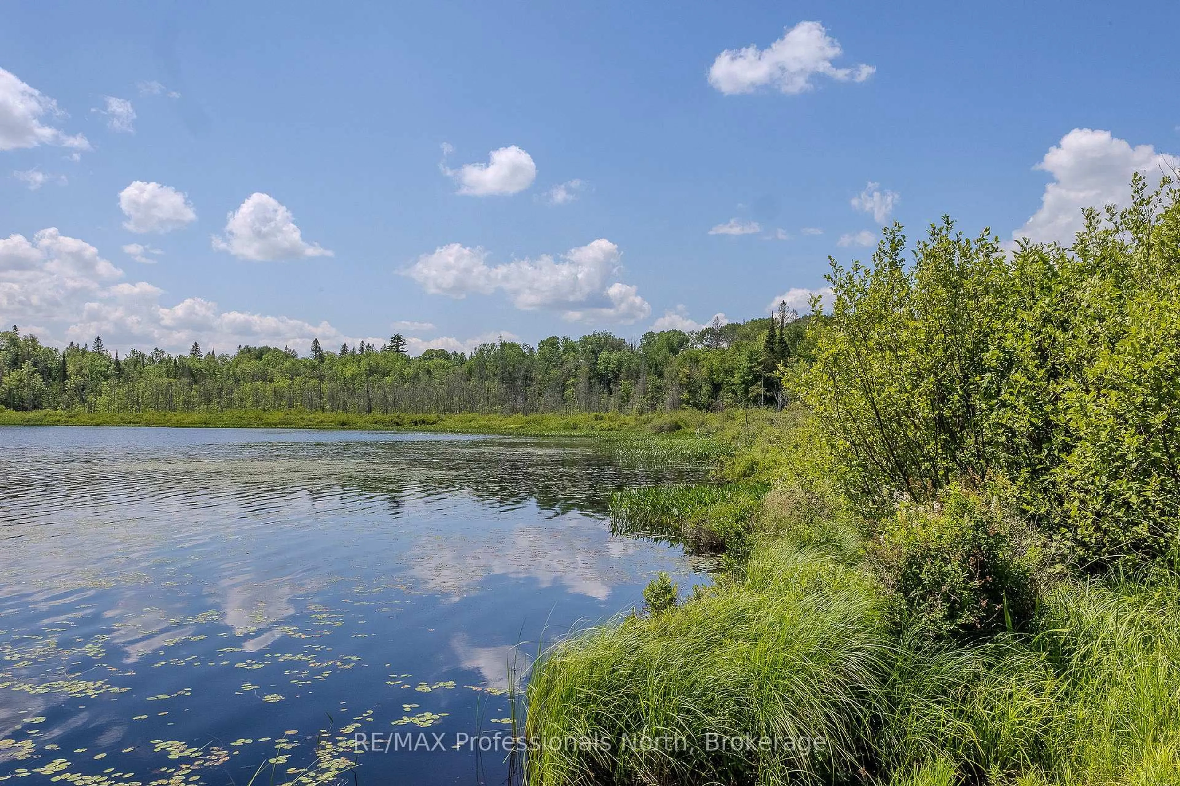 A pic from outside/outdoor area/front of a property/back of a property/a pic from drone, water/lake/river/ocean view for 1367 Pickerel and Jack Lake Rd, Armour Ontario P0A 1C0