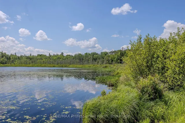 1367 Pickerel and Jack Lake Rd, Armour 5