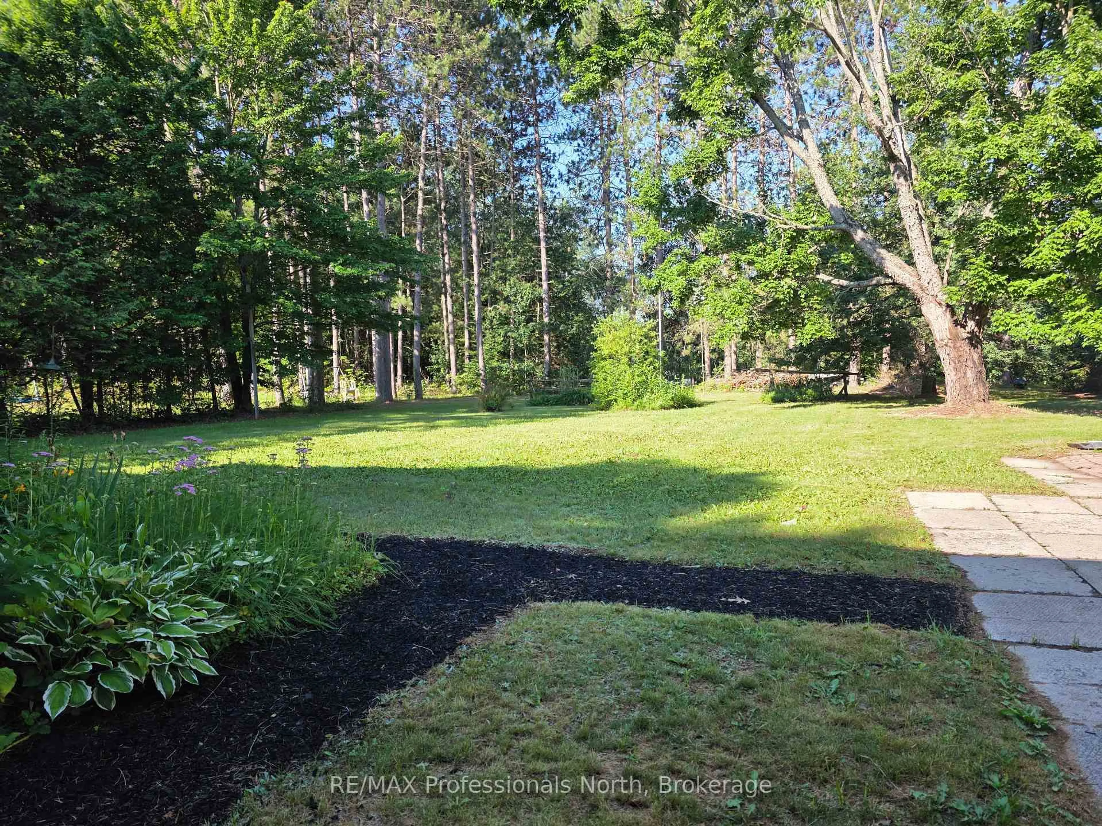A pic from outside/outdoor area/front of a property/back of a property/a pic from drone, forest/trees view for 1024 Lutterworth Pines Rd, Minden Hills Ontario K0M 2K0