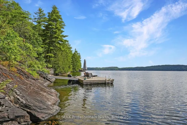 1101 BEDLINGTON Lane, Minden Hills 5