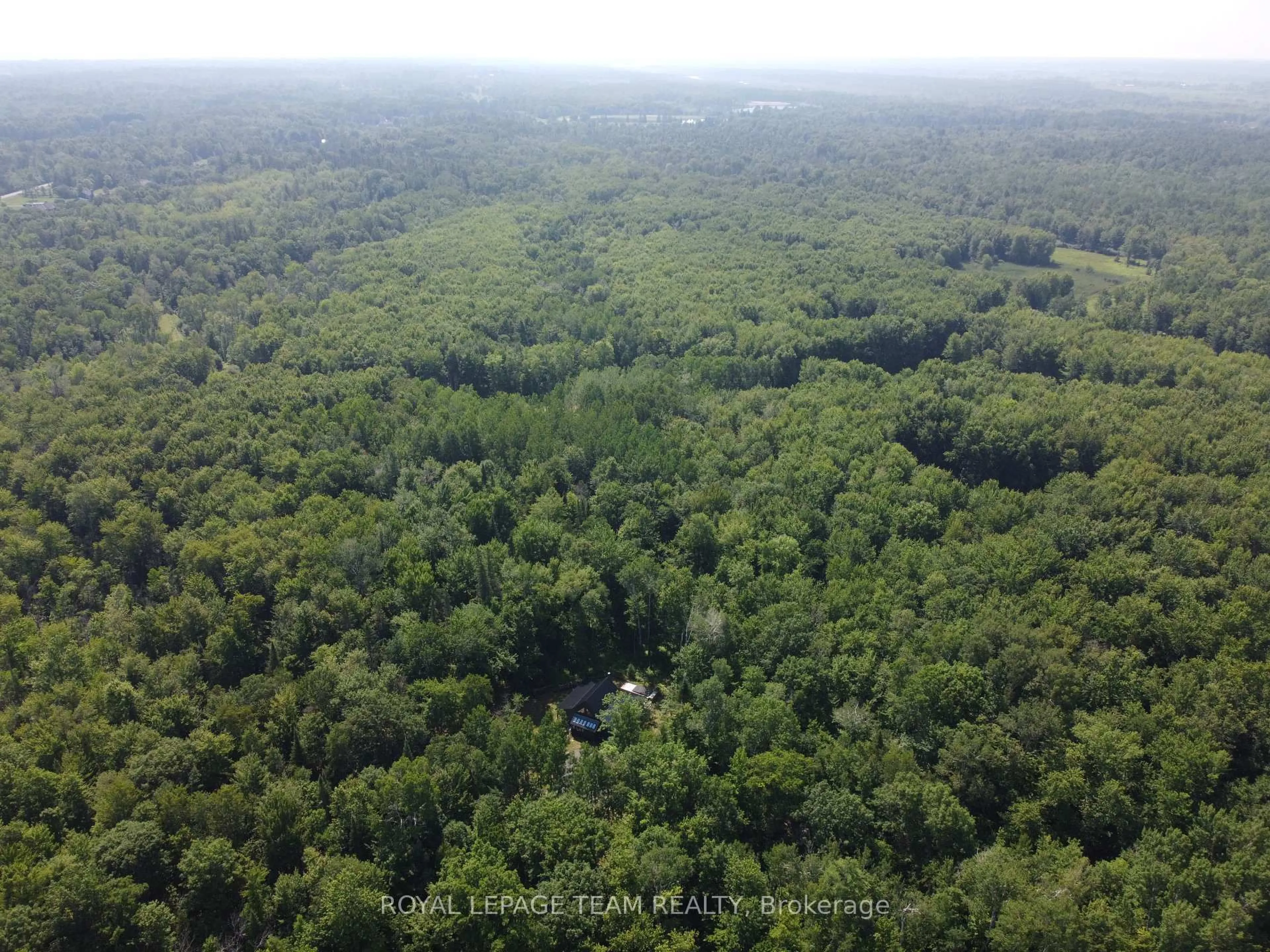 A pic from outside/outdoor area/front of a property/back of a property/a pic from drone, forest/trees view for 4309 Armitage Ave, Ottawa Ontario K0A 1T0