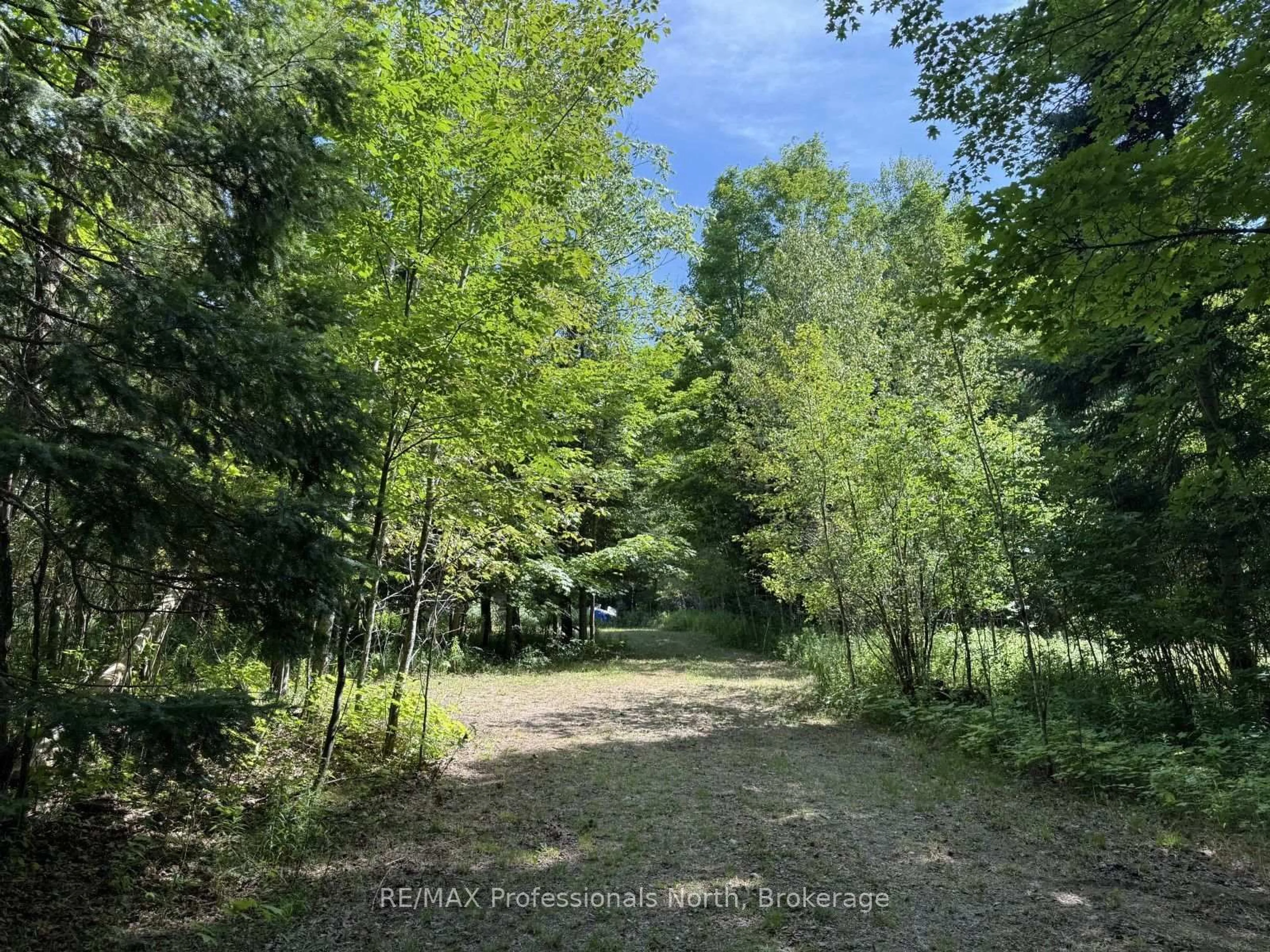 A pic from outside/outdoor area/front of a property/back of a property/a pic from drone, forest/trees view for 1170 Bushwolf Lake Rd, Dysart et al Ontario K0M 1S0