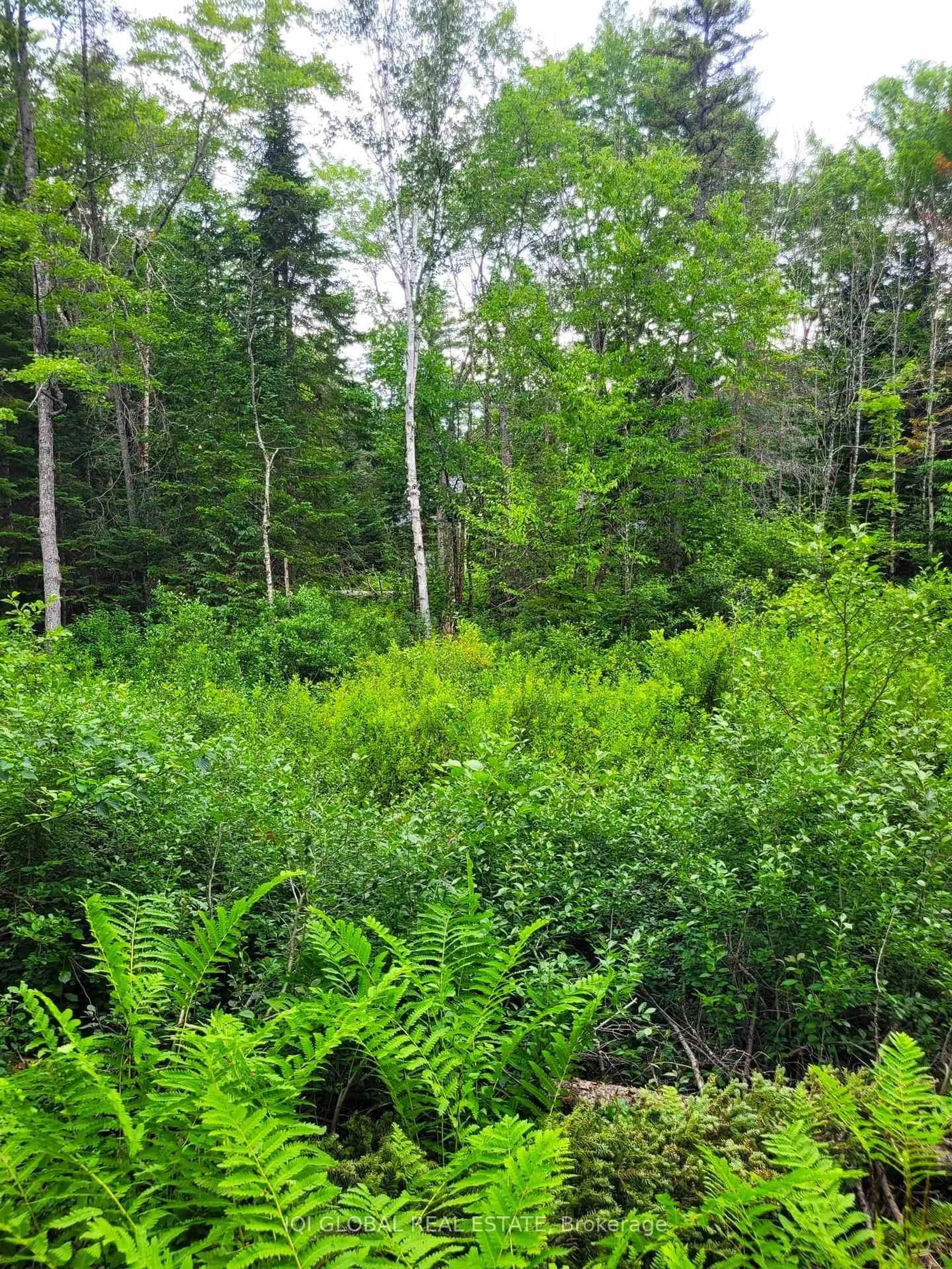 Unknown for 835 Stephenson Rd, Huntsville Ontario P0B 1L0