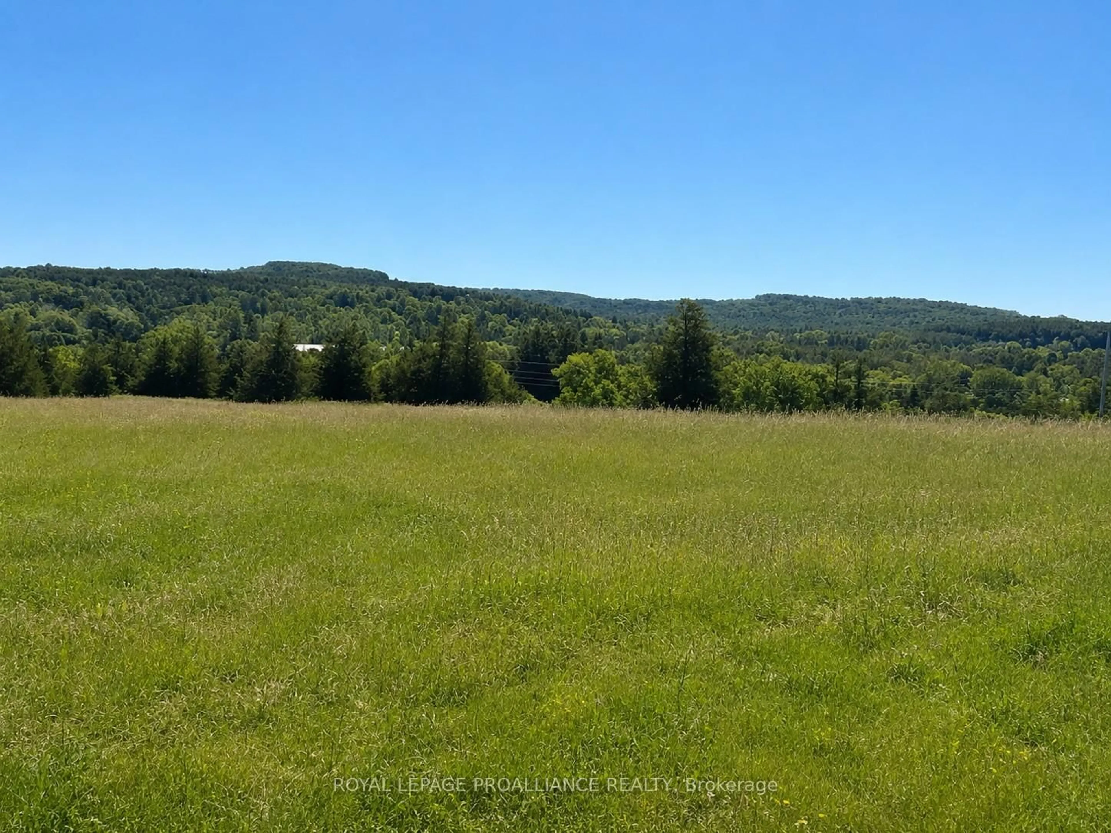 A pic from outside/outdoor area/front of a property/back of a property/a pic from drone, forest/trees view for 4836 45 Highway, Hamilton Township Ontario K7G 2V6