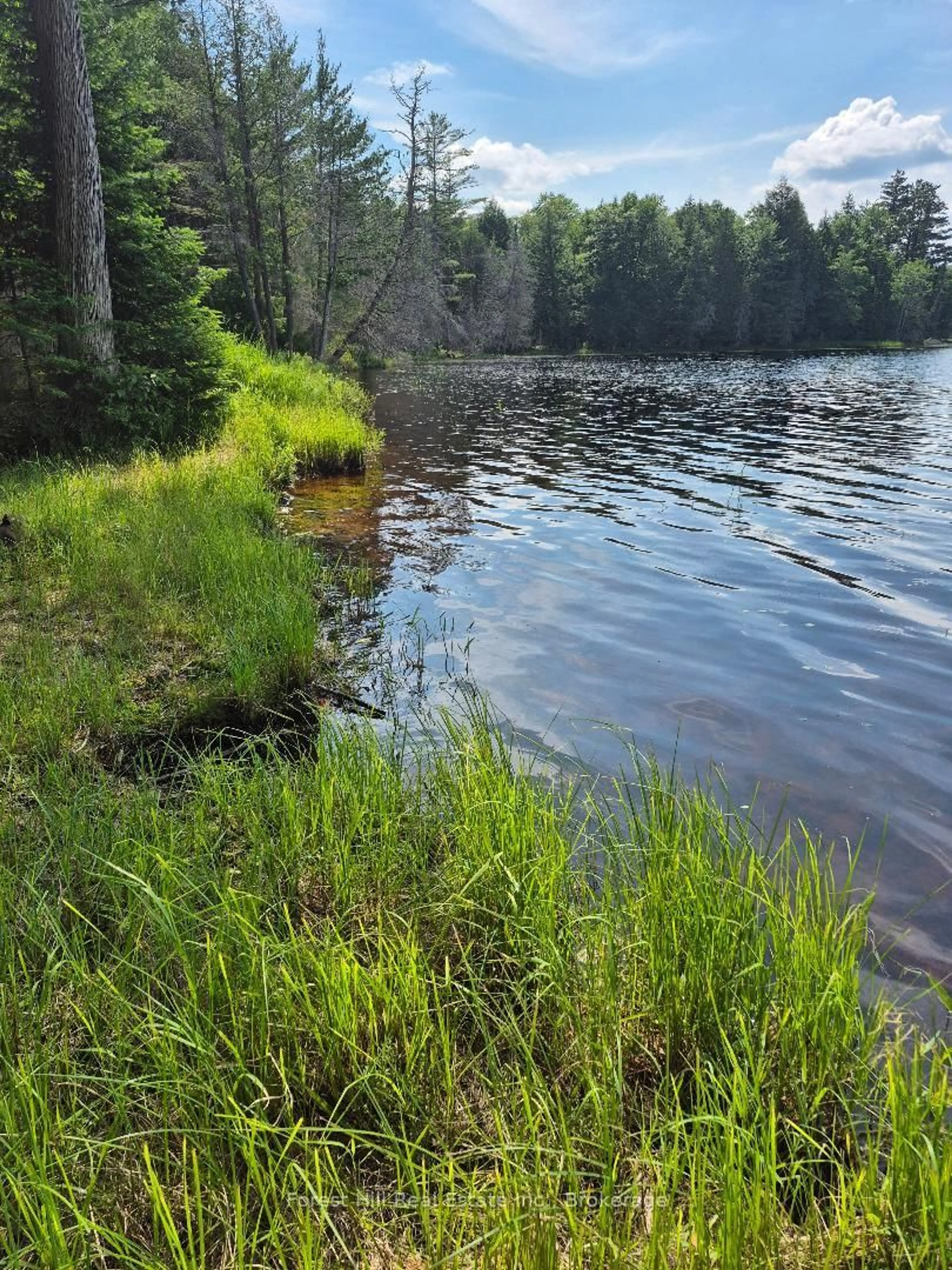 Blurry image for 230 Baker Rd, Magnetawan Ontario P0A 1P0