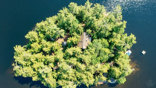 1 Merlin (Island M91) Island, Muskoka Lakes 5