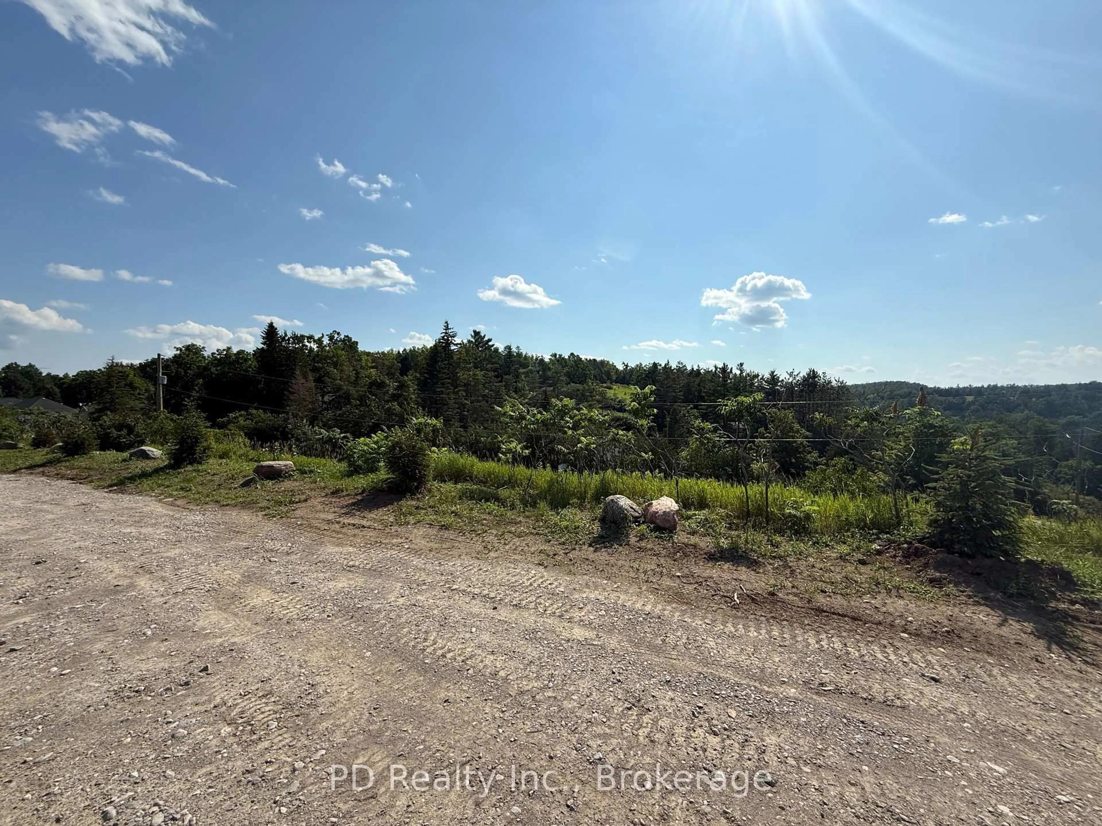 A pic from outside/outdoor area/front of a property/back of a property/a pic from drone, forest/trees view for 2469 Queen Mary St, Cavan Monaghan Ontario L0A 1C0
