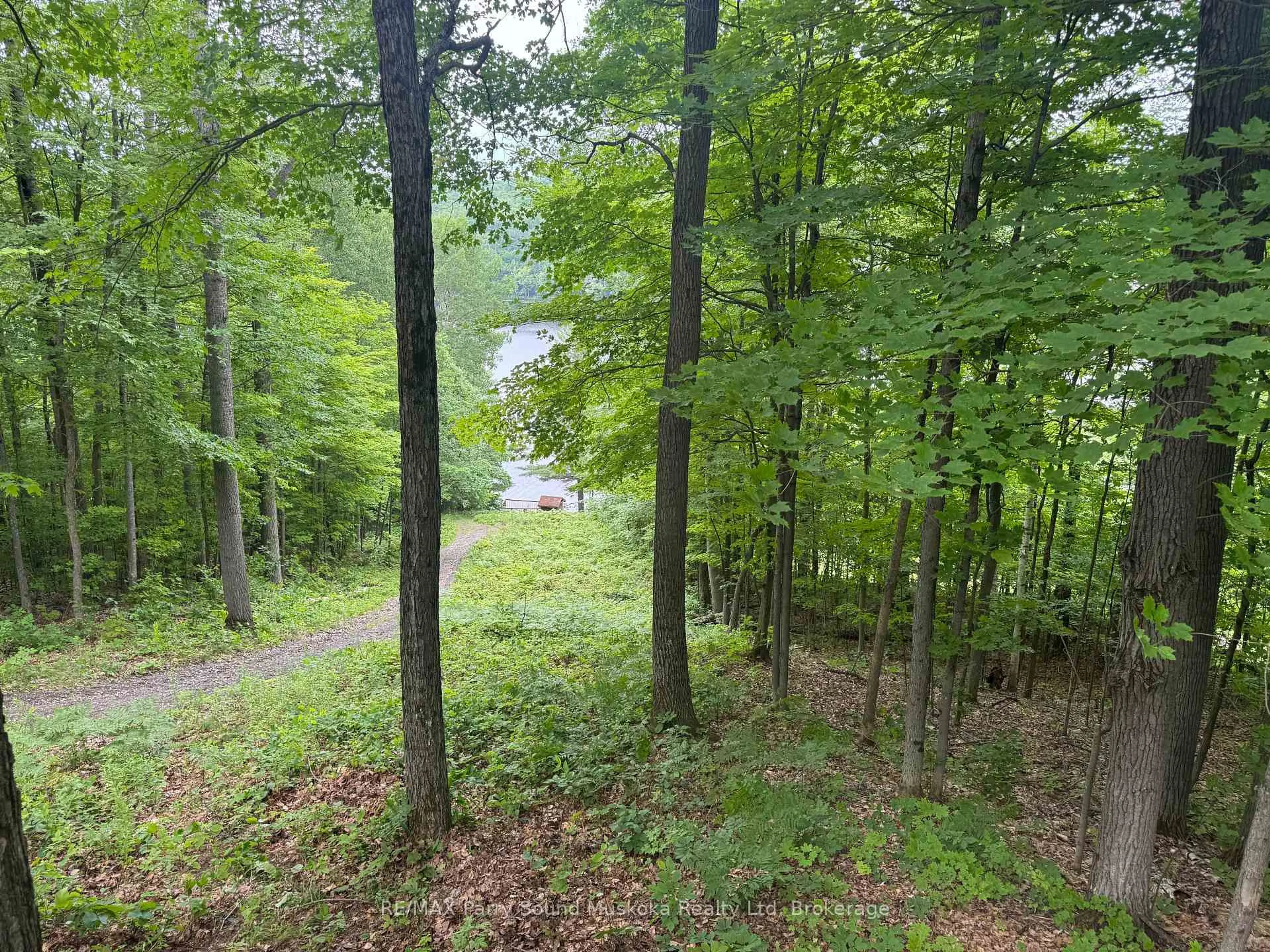 A pic from outside/outdoor area/front of a property/back of a property/a pic from drone, forest/trees view for 1117 Limberlost Point Rd, Parry Sound Remote Area Ontario P0H 2R0