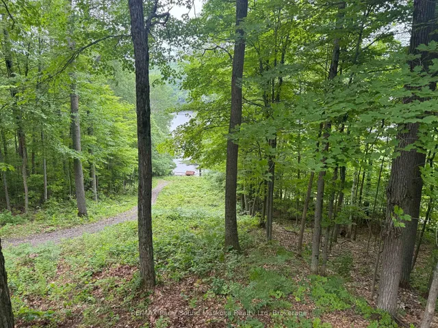 1117 Limberlost Point Rd, Parry Sound Remote Area 4