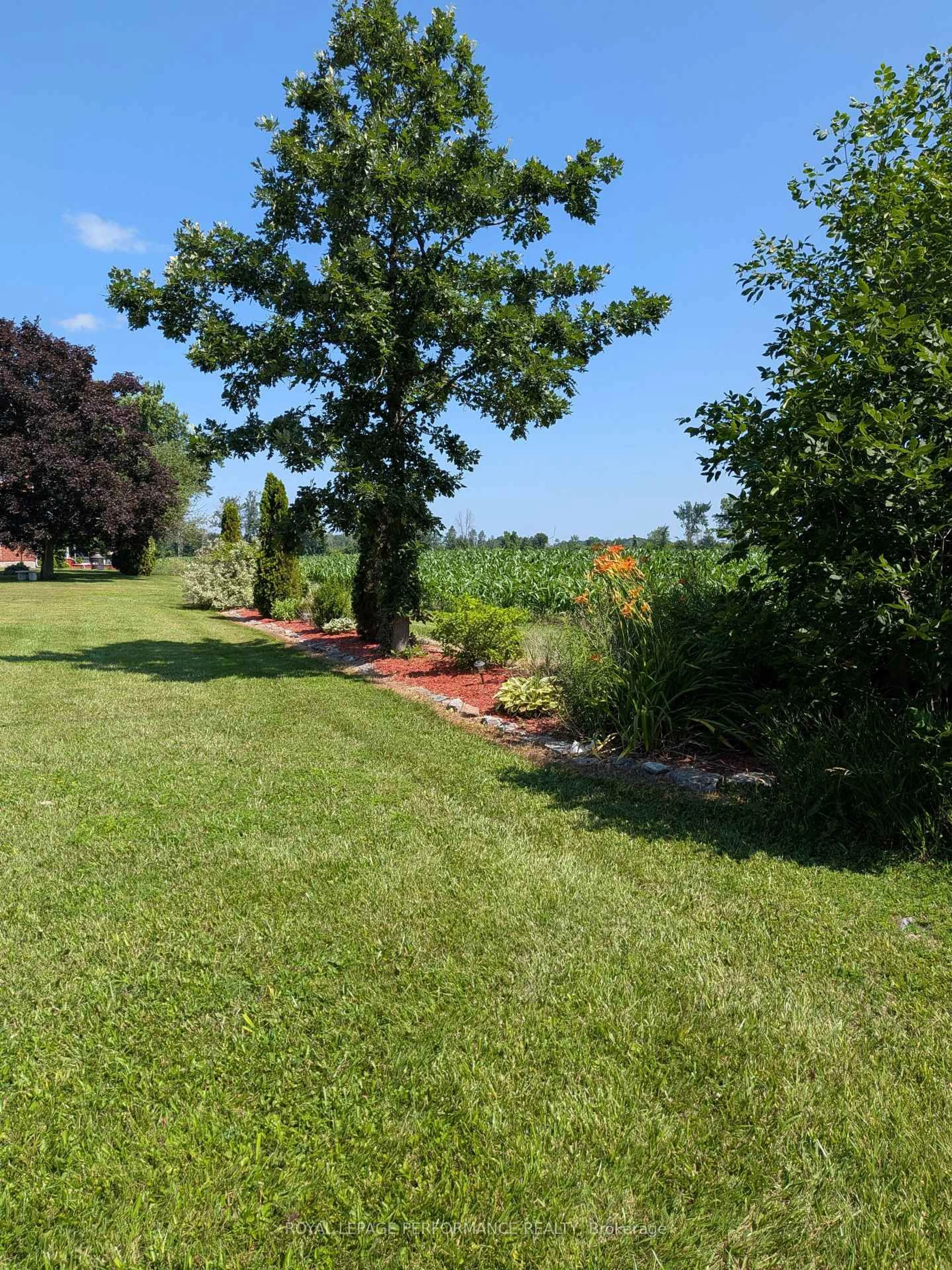 A pic from outside/outdoor area/front of a property/back of a property/a pic from drone, water/lake/river/ocean view for 14911 County Rd 43 Rd, North Stormont Ontario K0C 1K0