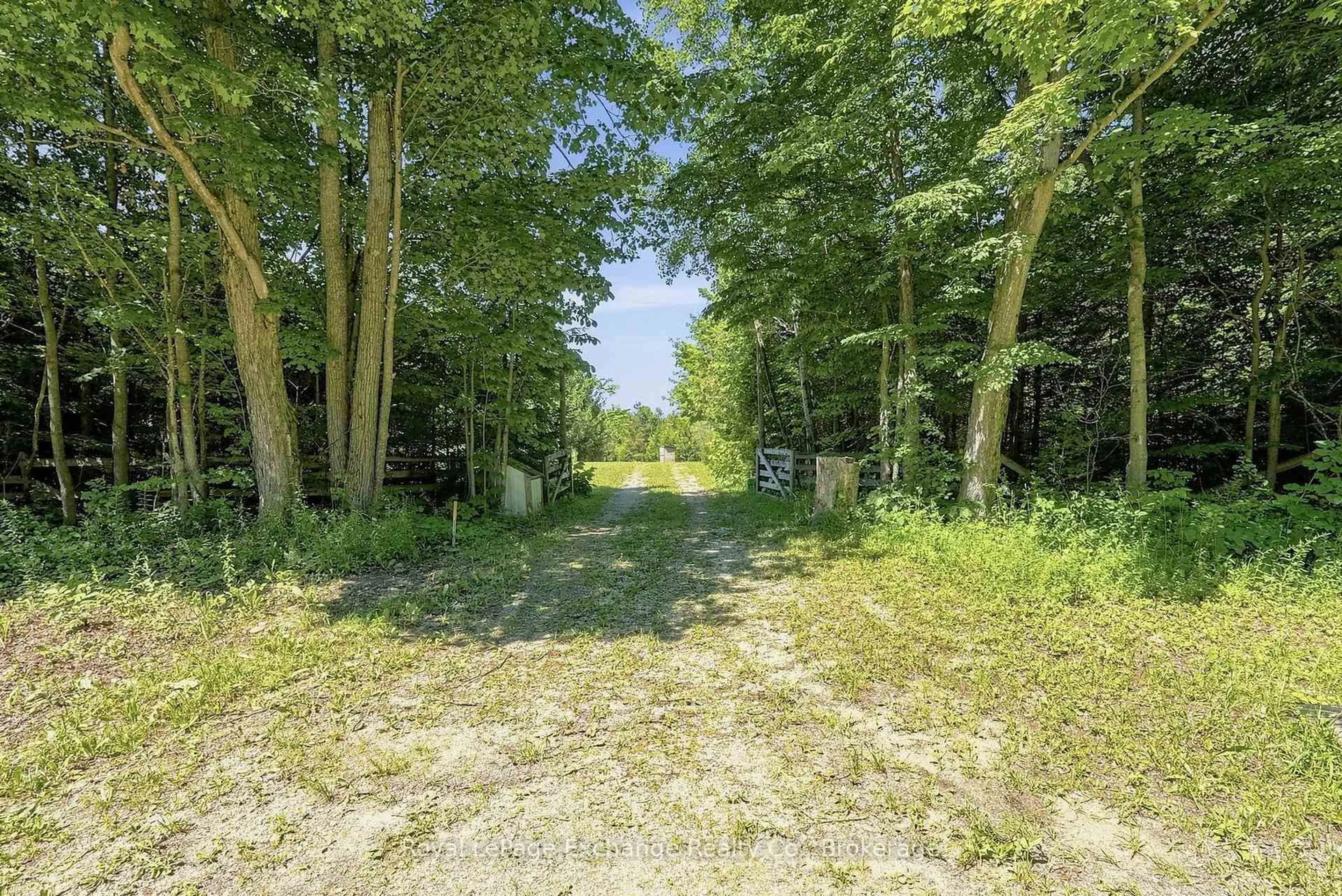 A pic from outside/outdoor area/front of a property/back of a property/a pic from drone, forest/trees view for 495144 Traverston Rd, West Grey Ontario N0C 1H0