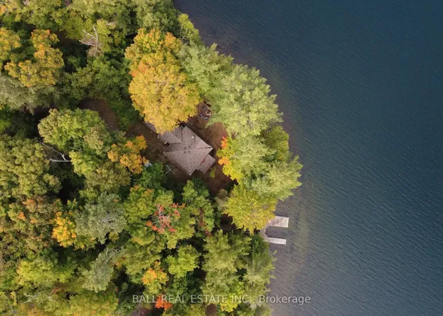 551 Renwick Rd, North Kawartha 2