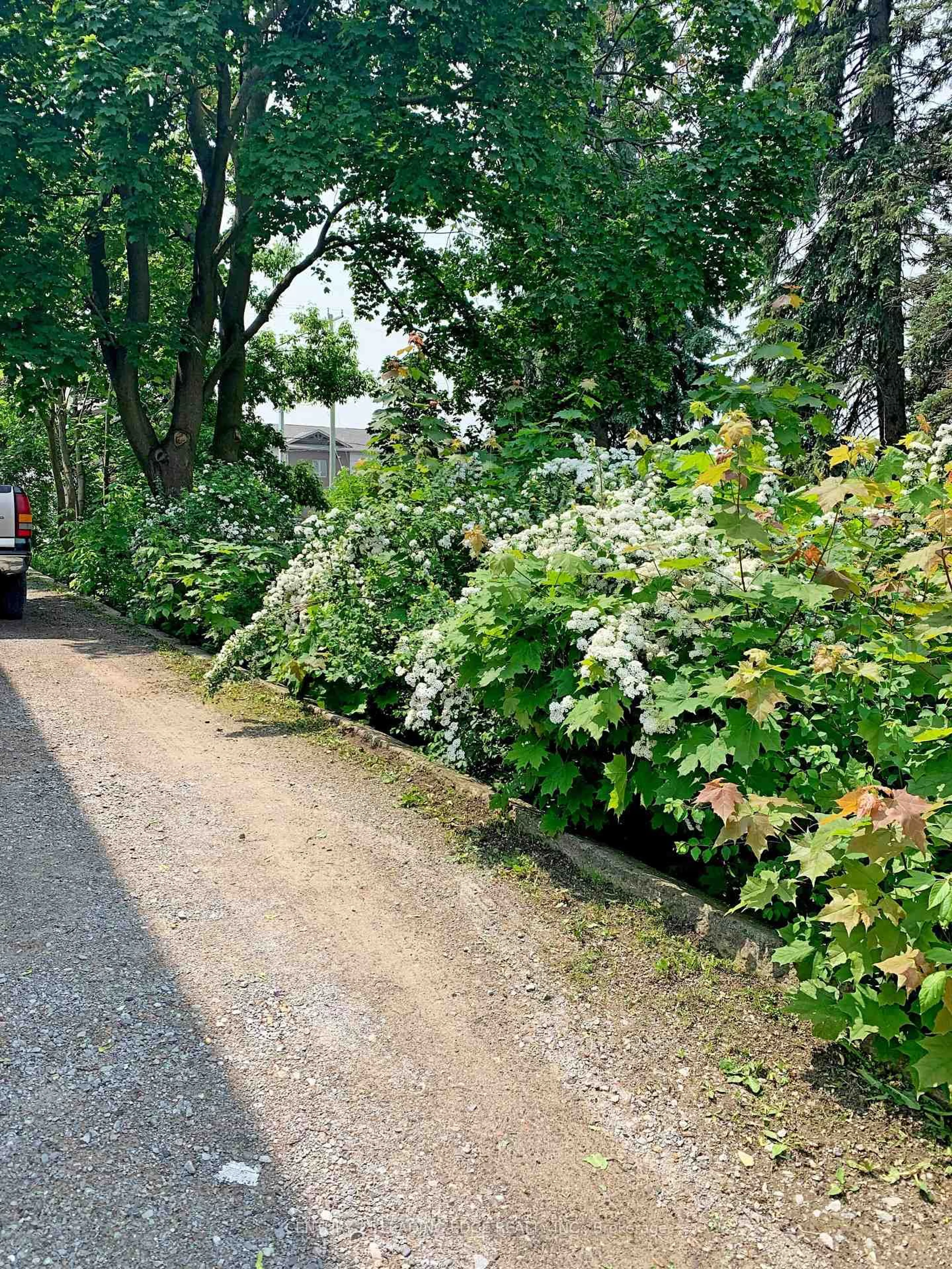 Patio, street for 23 Queen St, Kawartha Lakes Ontario K9V 1G1