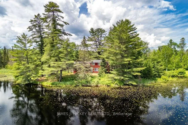 37467 HIGHWAY 17 Highway, Deep River 3