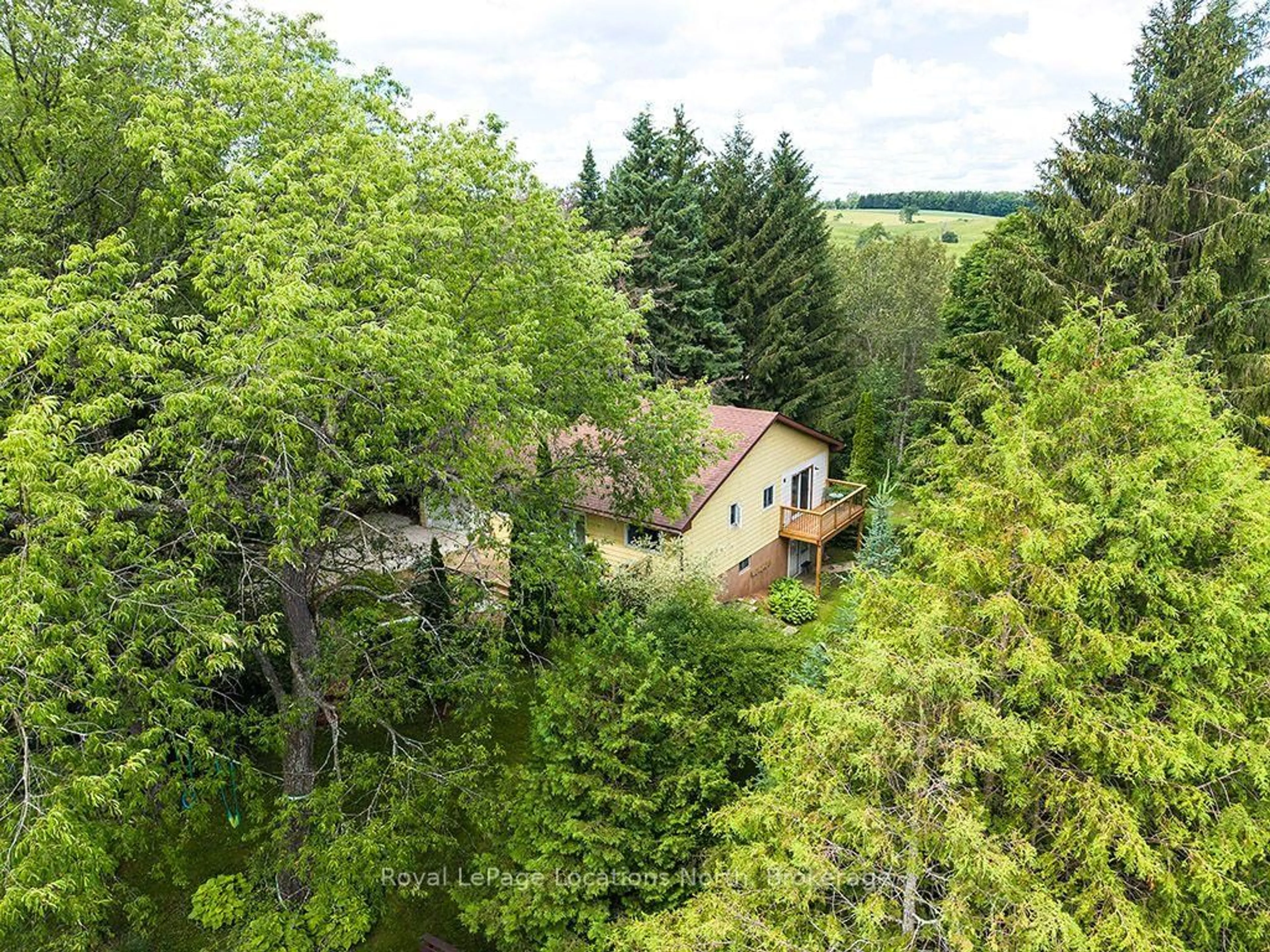 A pic from outside/outdoor area/front of a property/back of a property/a pic from drone, forest/trees view for 102 Mill St, Grey Highlands Ontario N0C 1E0