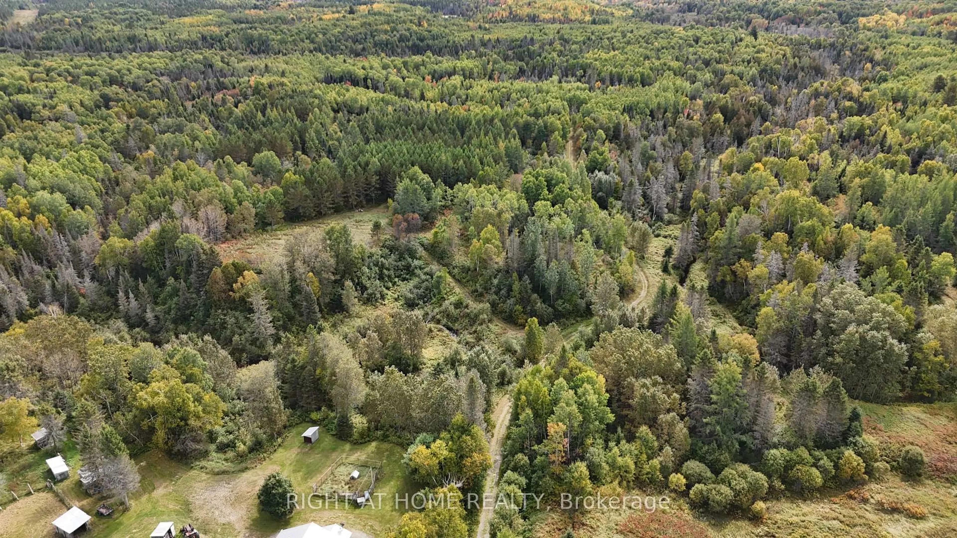 A pic from outside/outdoor area/front of a property/back of a property/a pic from drone, forest/trees view for 58 Bellefeuille Rd, West Nipissing Ontario P0H 1M0
