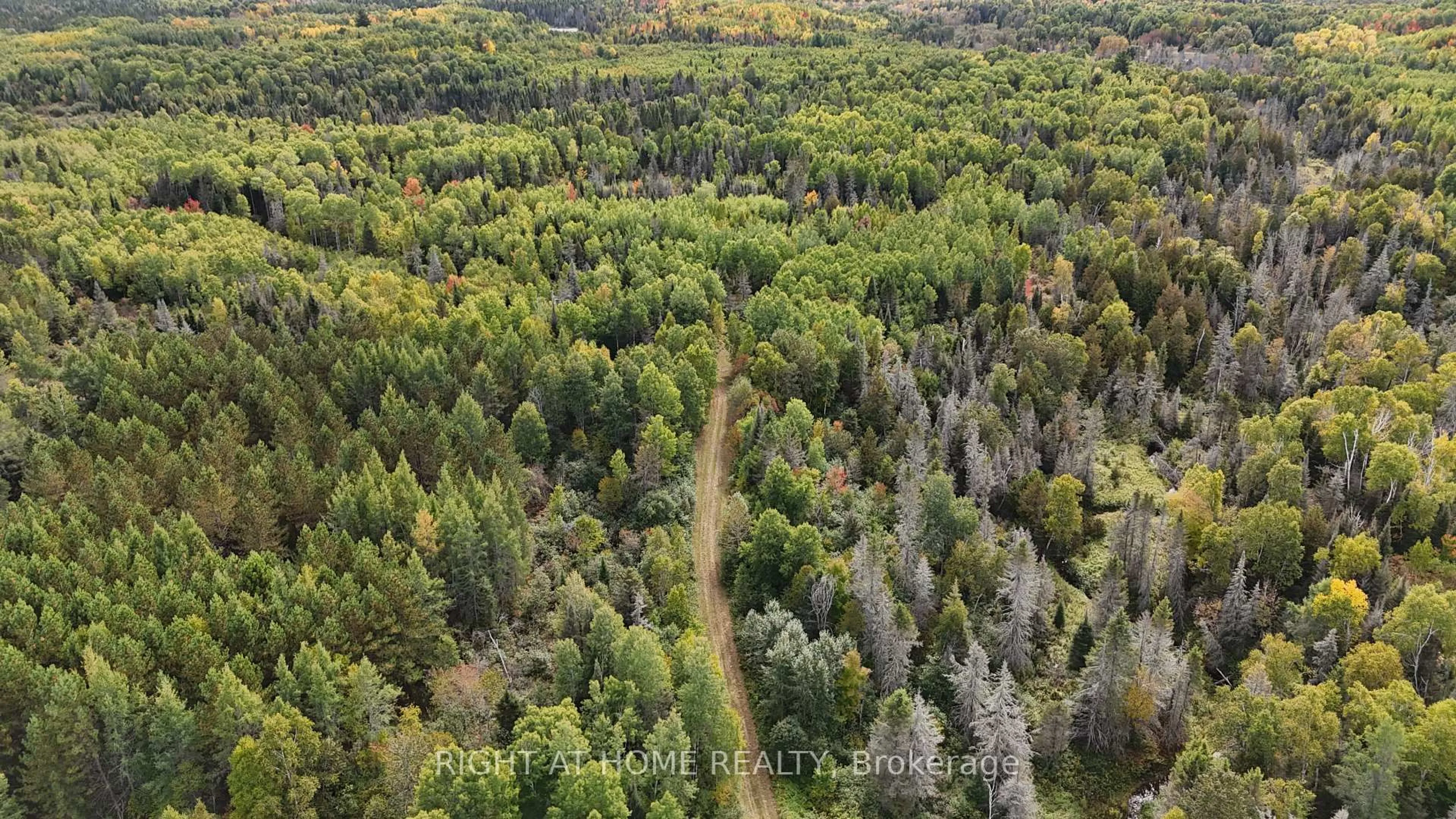 A pic from outside/outdoor area/front of a property/back of a property/a pic from drone, forest/trees view for 58 Bellefeuille Rd, West Nipissing Ontario P0H 1M0