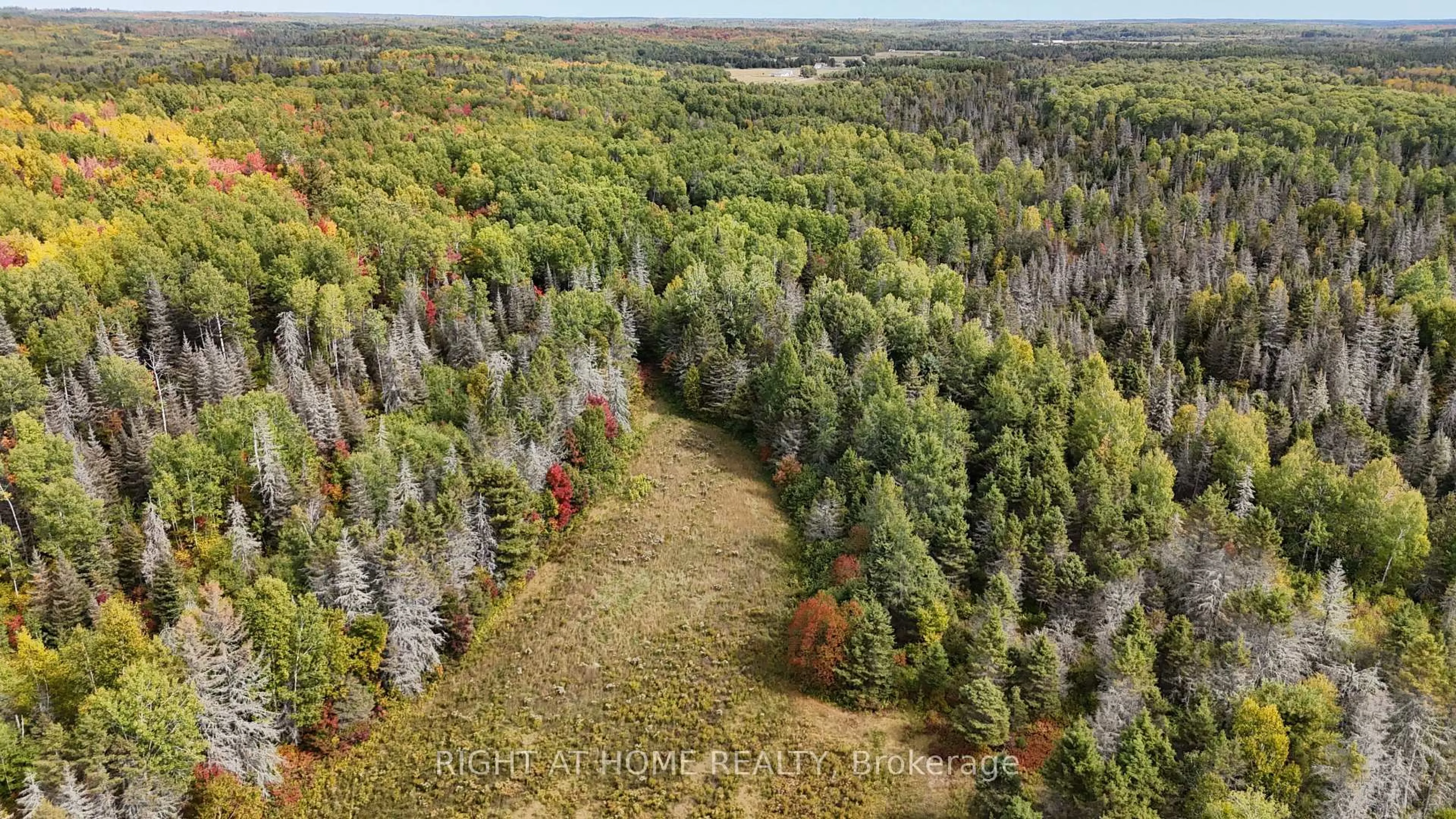 A pic from outside/outdoor area/front of a property/back of a property/a pic from drone, forest/trees view for 58 Bellefeuille Rd, West Nipissing Ontario P0H 1M0
